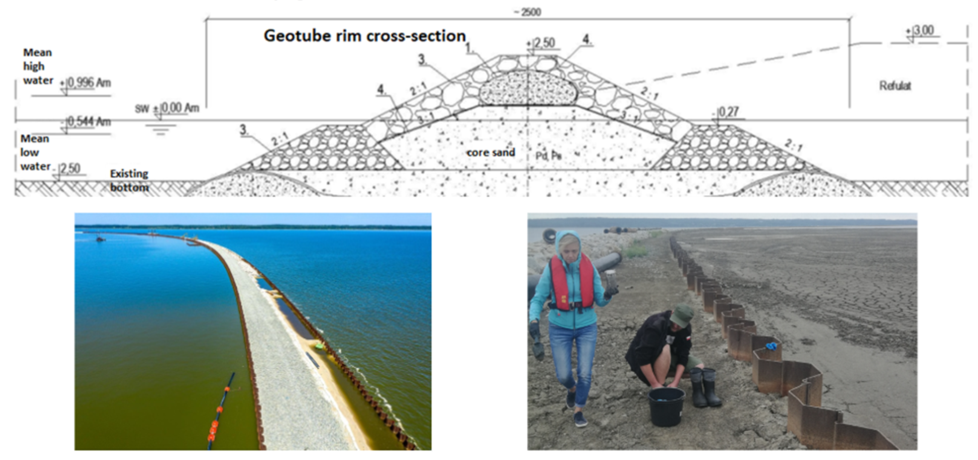 Preprints 176997 g007