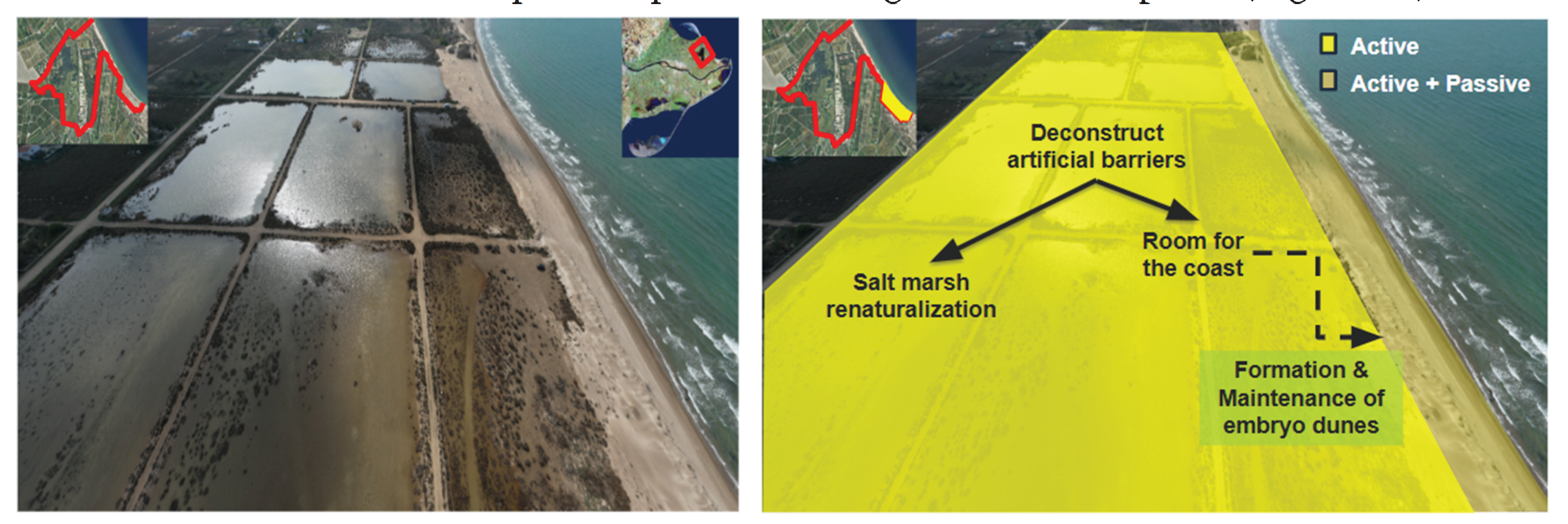 Preprints 176997 g011