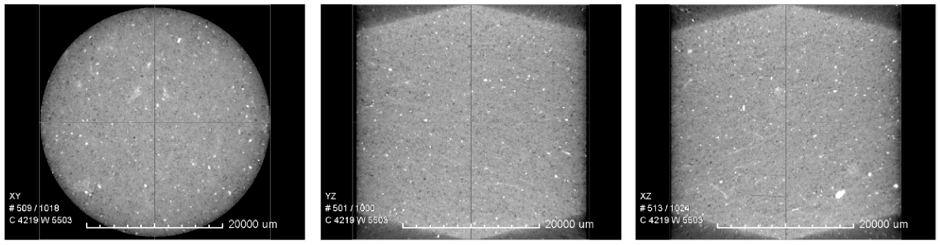 Preprints 95878 g002