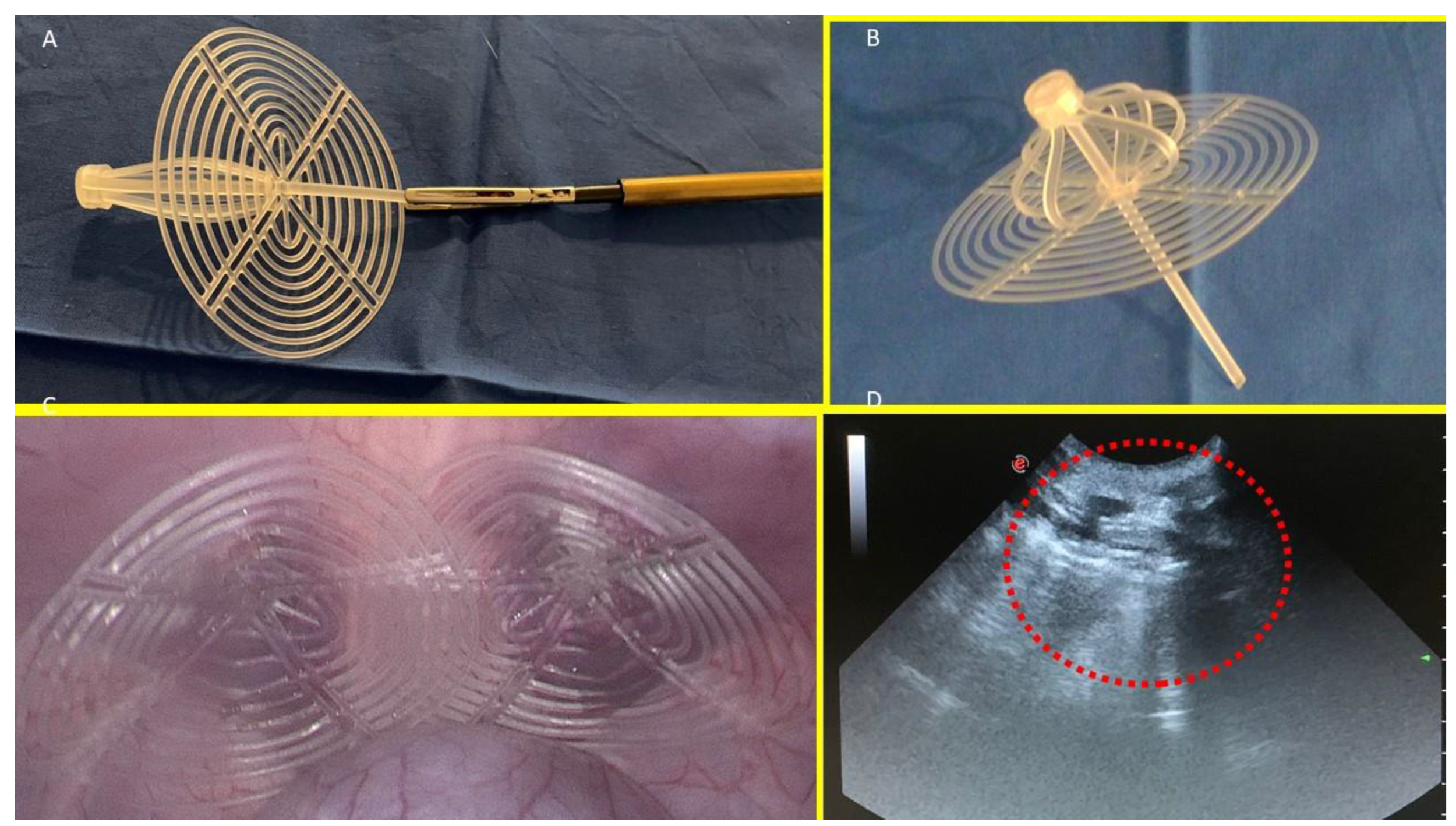 Preprints 144368 g001