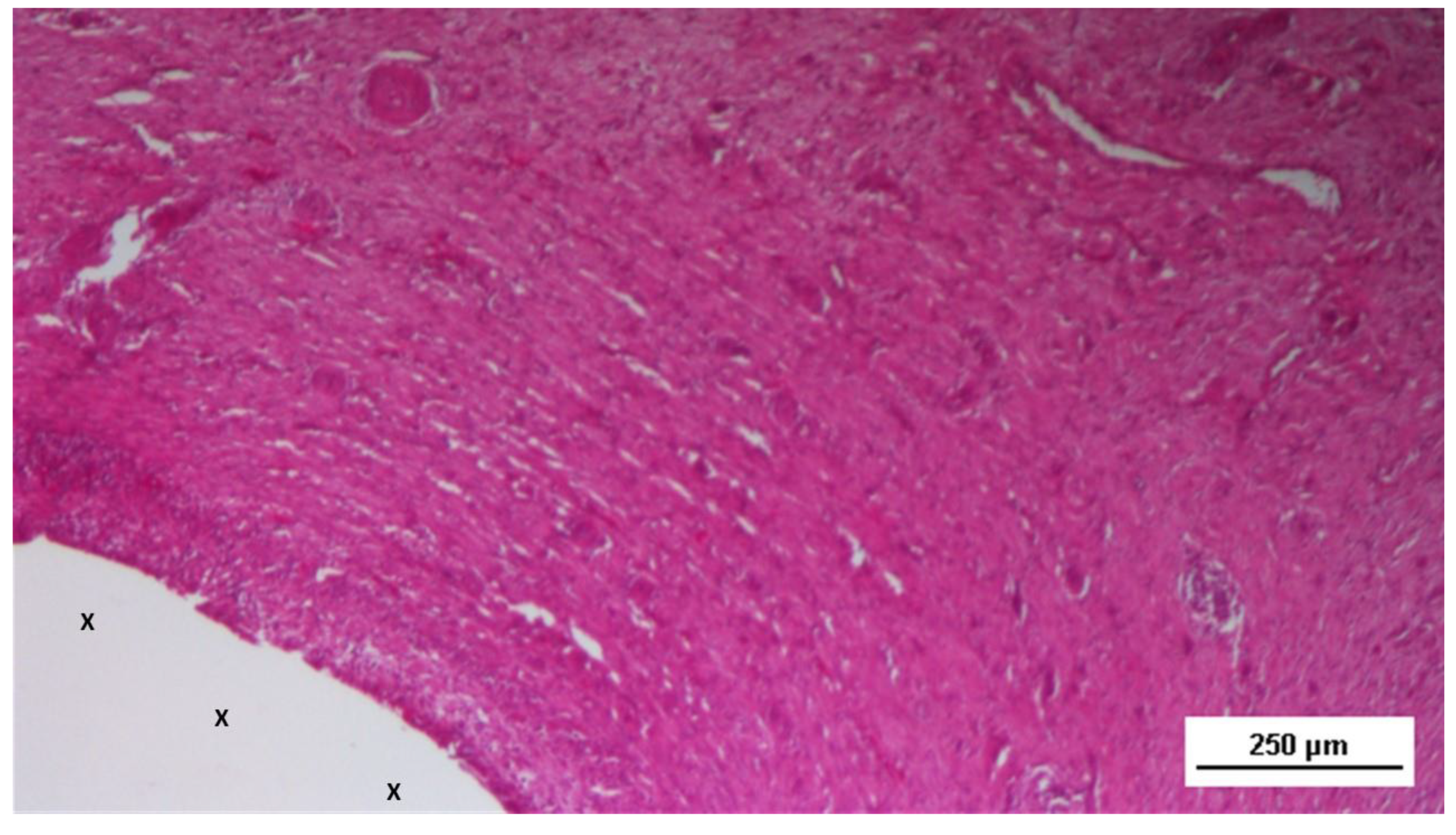 Preprints 144368 g003