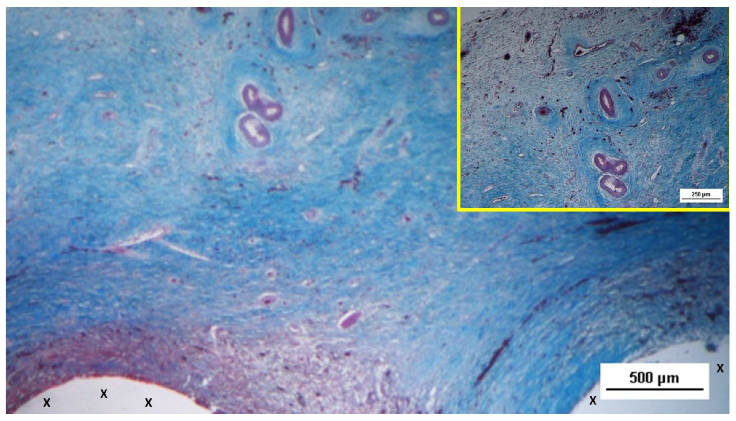 Preprints 144368 g004