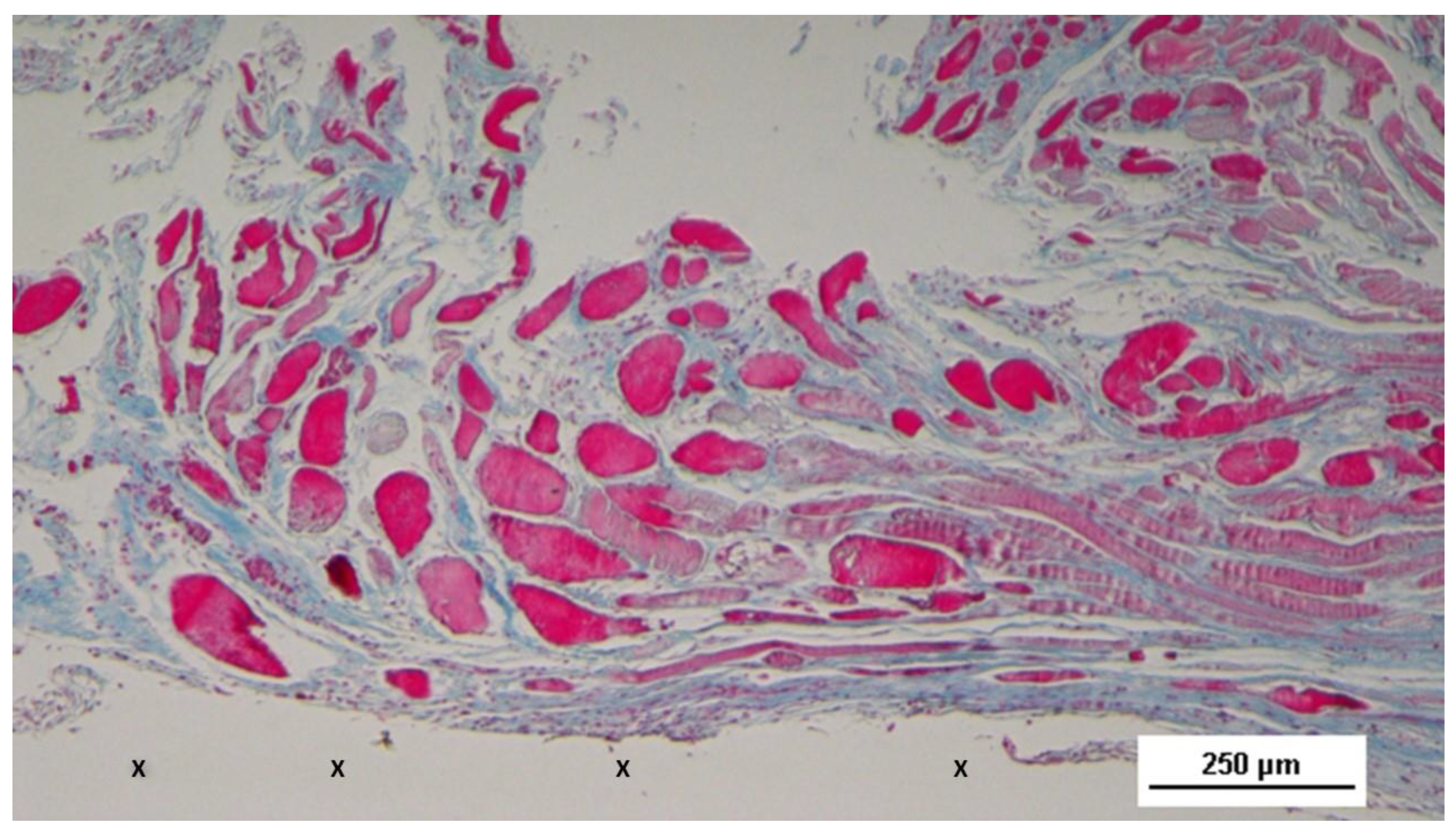Preprints 144368 g008