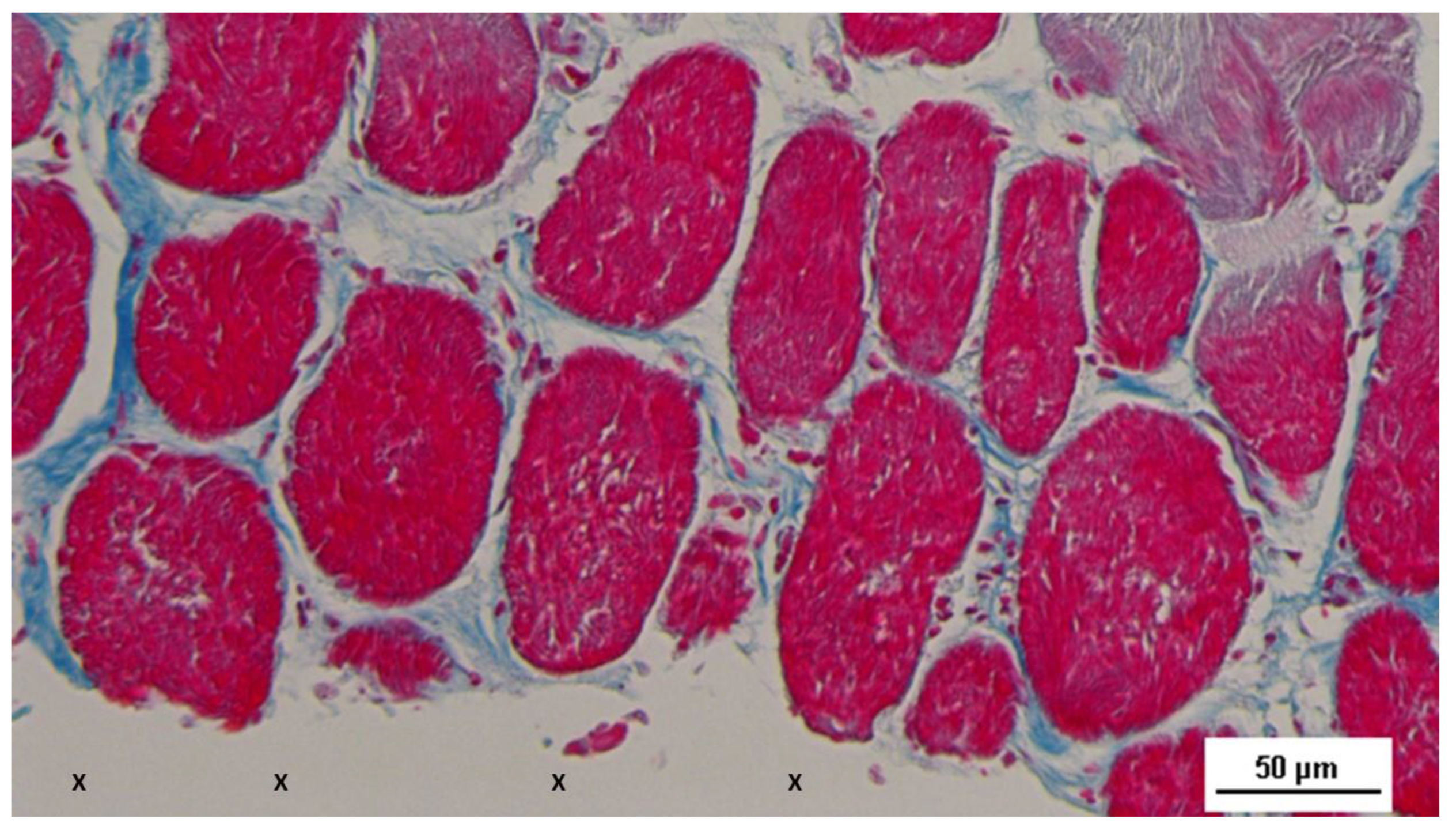 Preprints 144368 g010