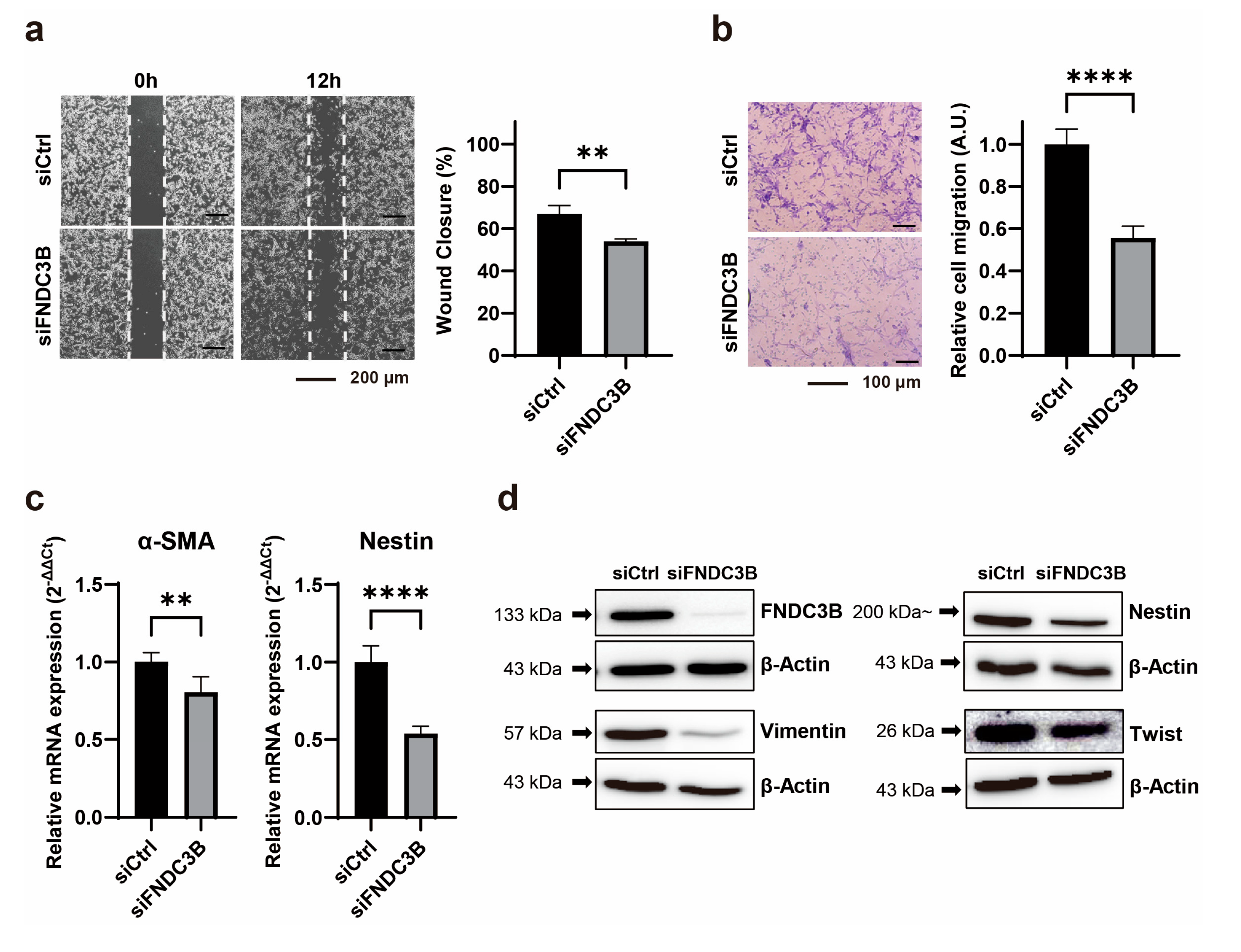 Preprints 88080 g003
