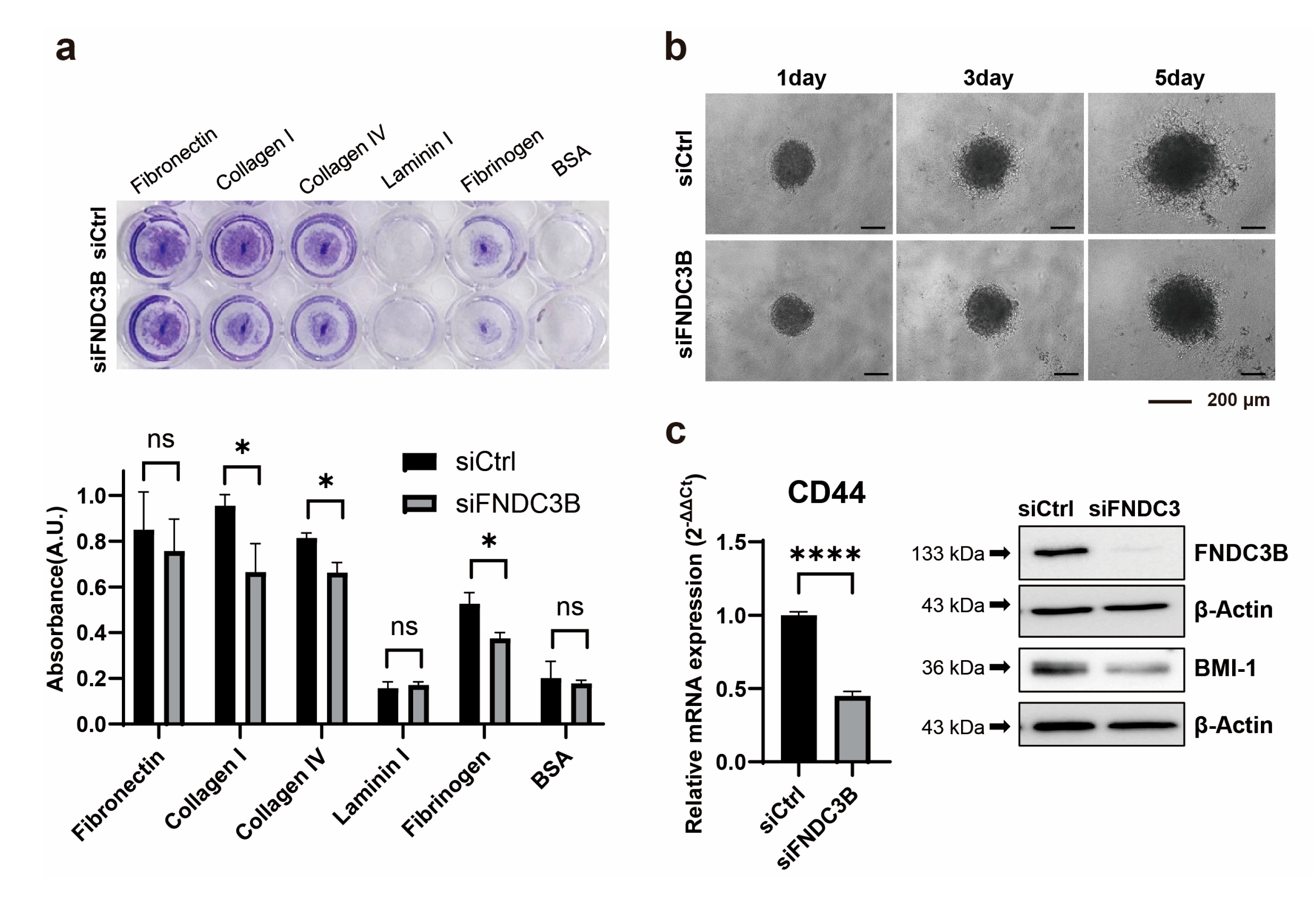 Preprints 88080 g004
