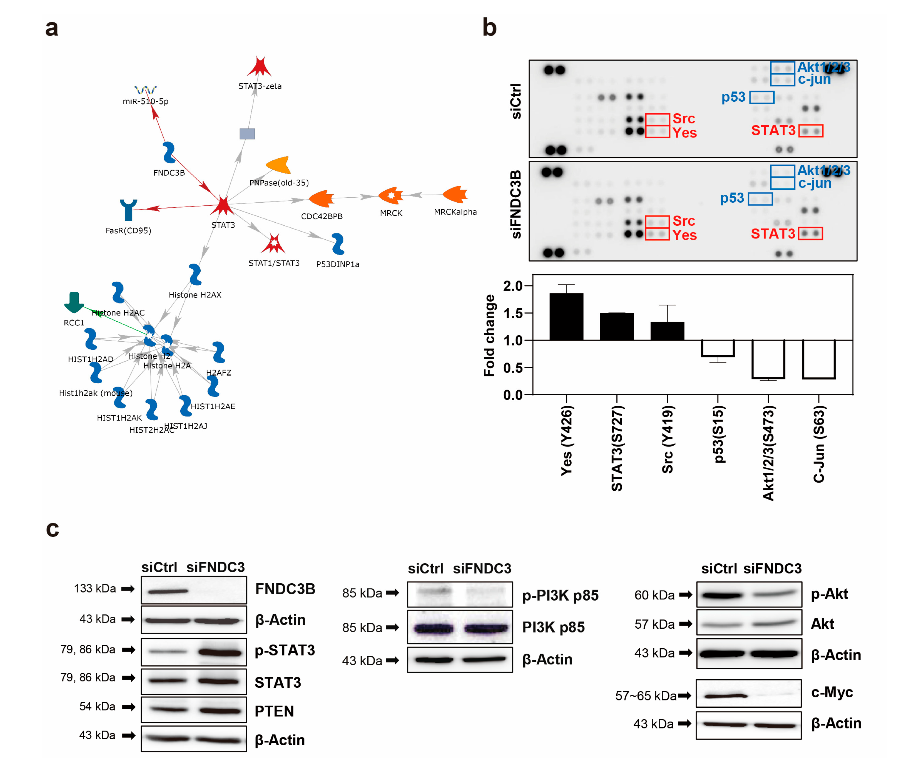 Preprints 88080 g005