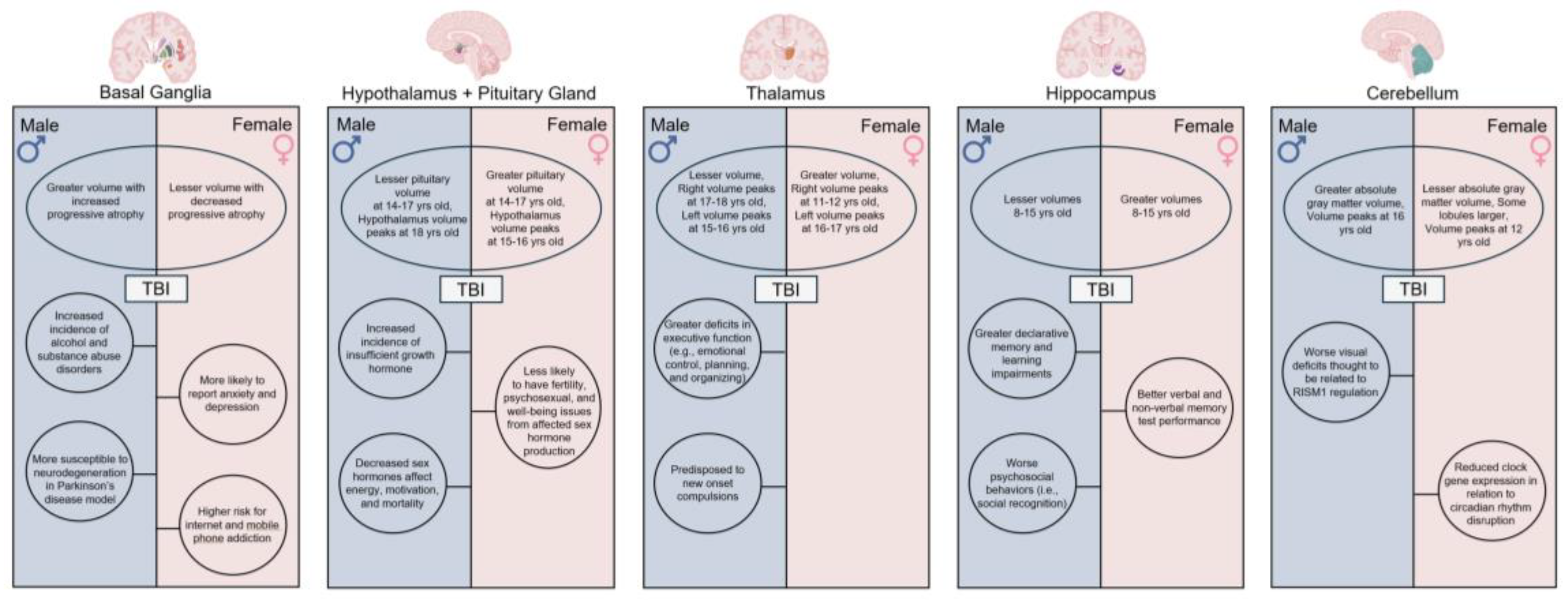 Preprints 183033 g001