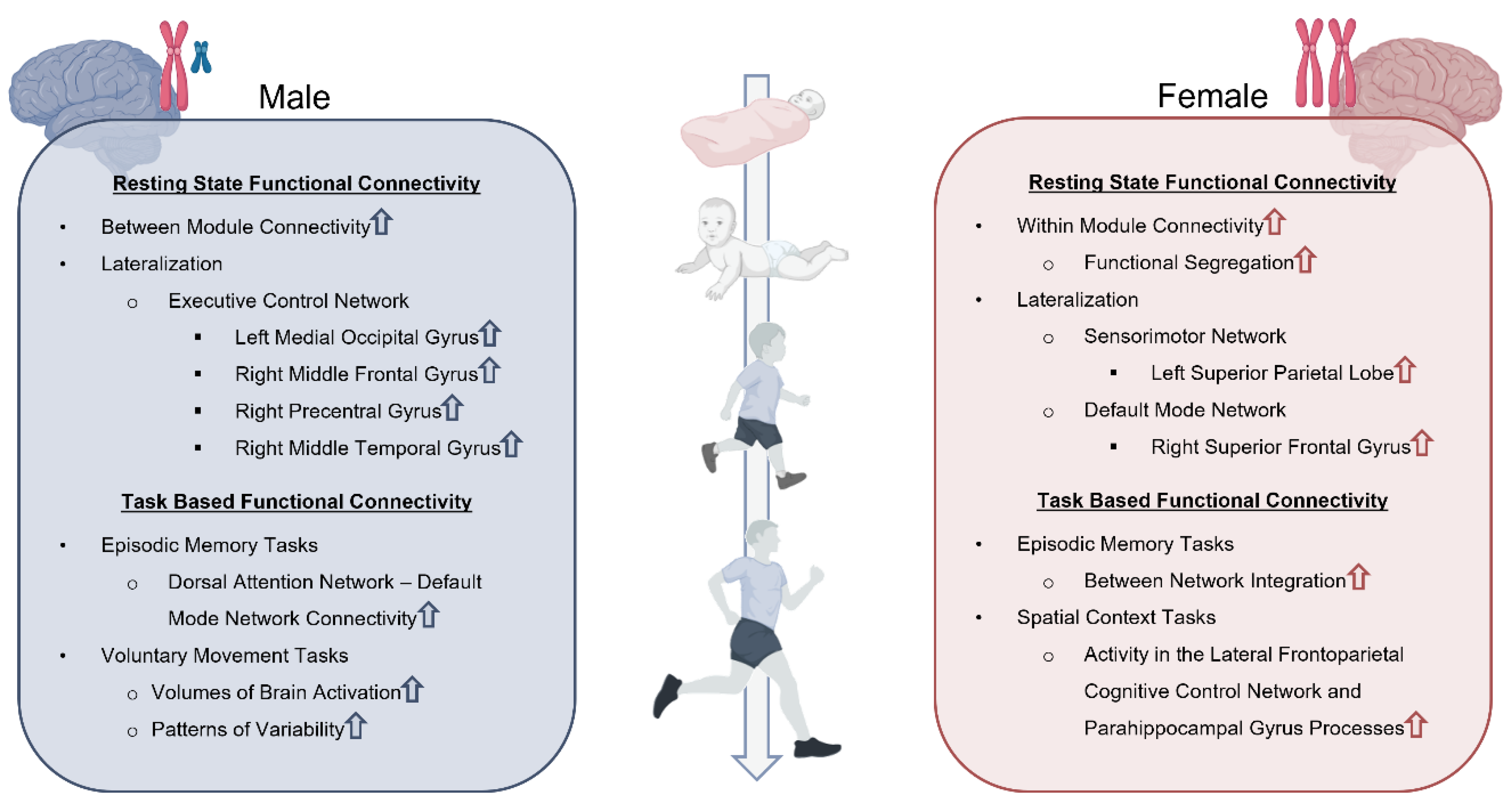 Preprints 183033 g002