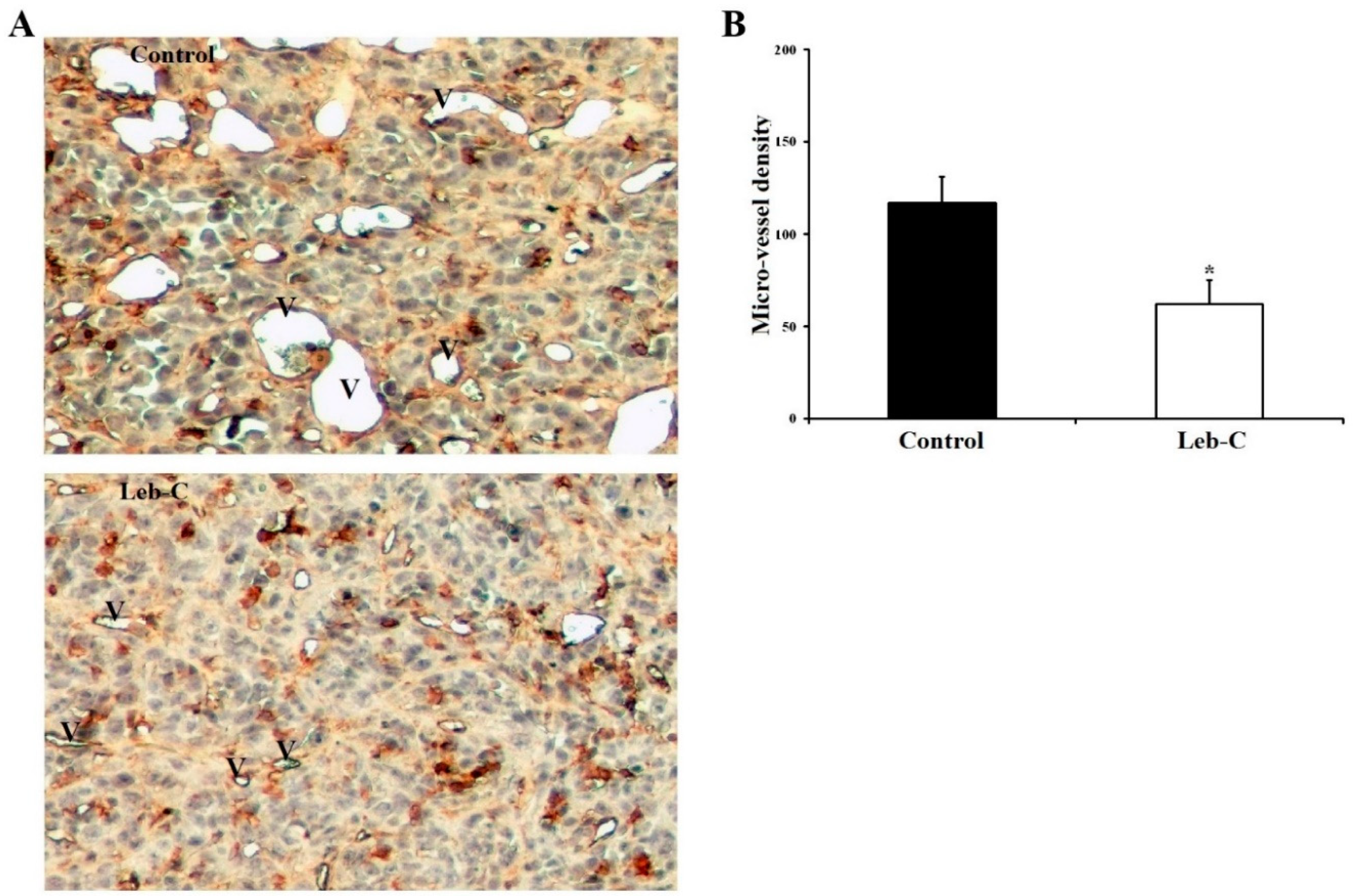 Preprints 76327 g005