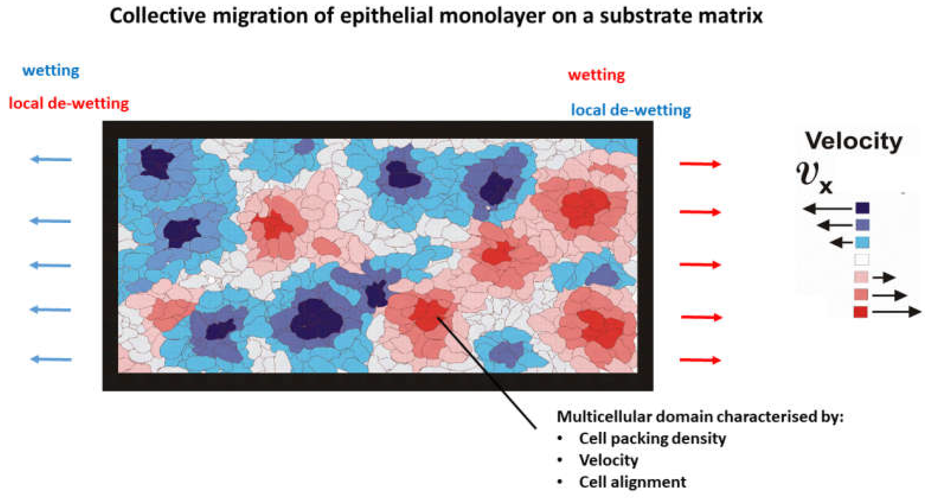Preprints 153050 g001
