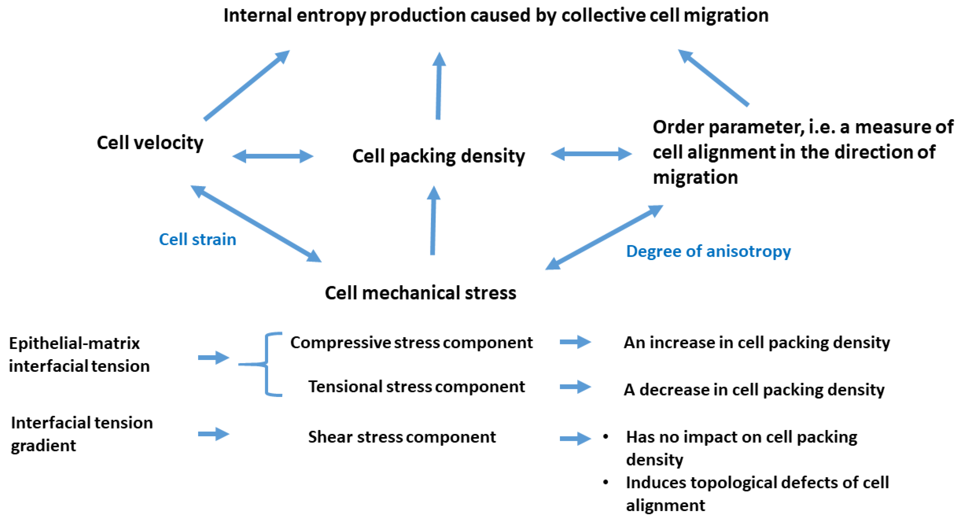 Preprints 153050 g003