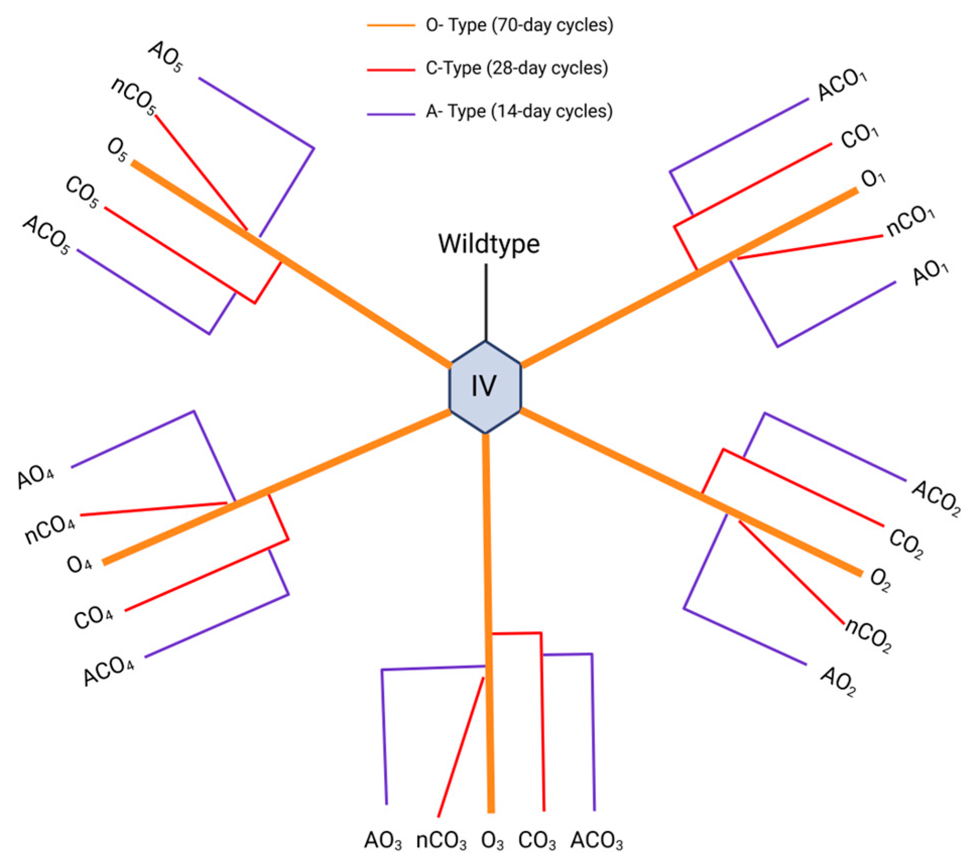 Preprints 162593 g001