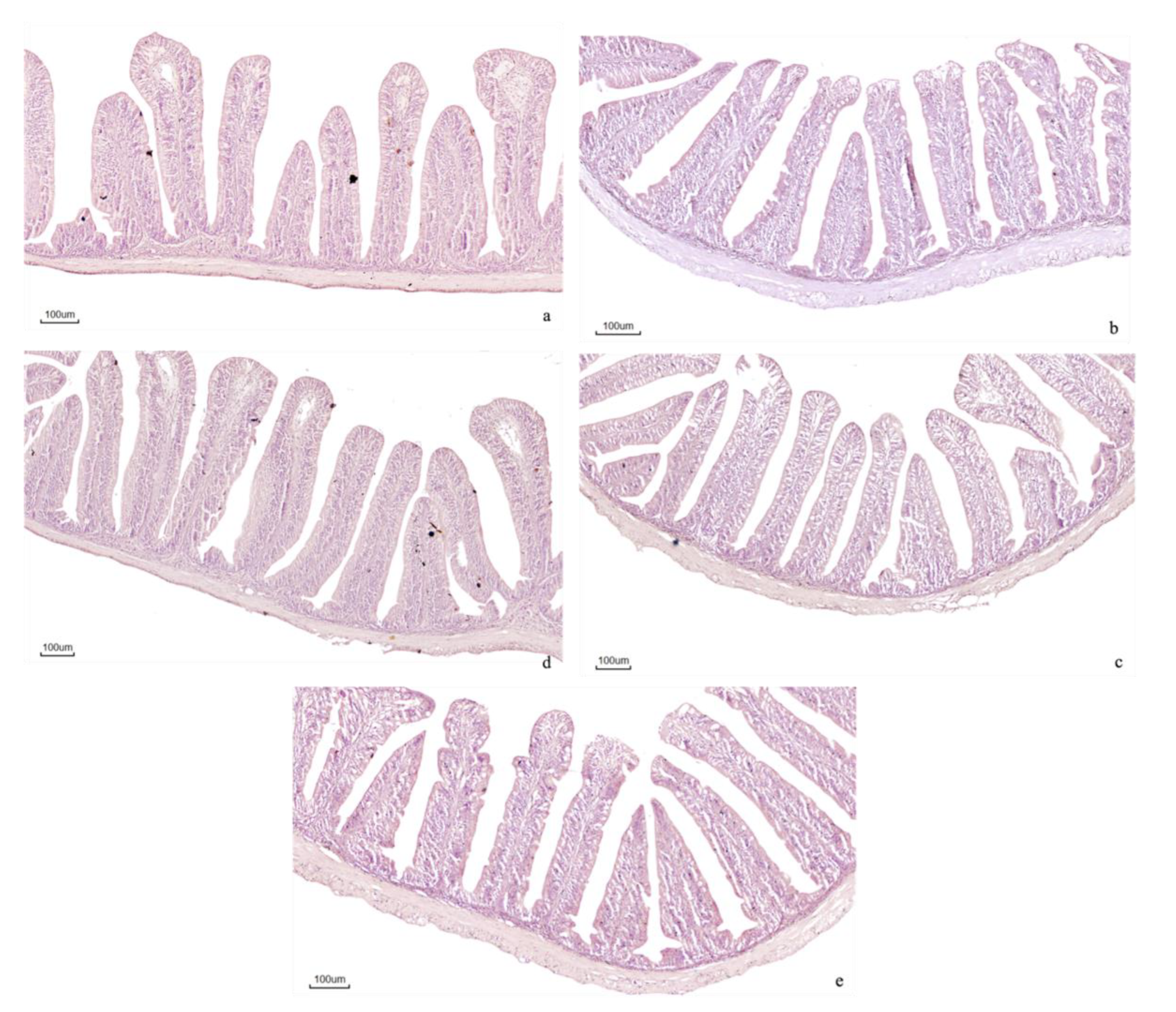 Preprints 199192 g002