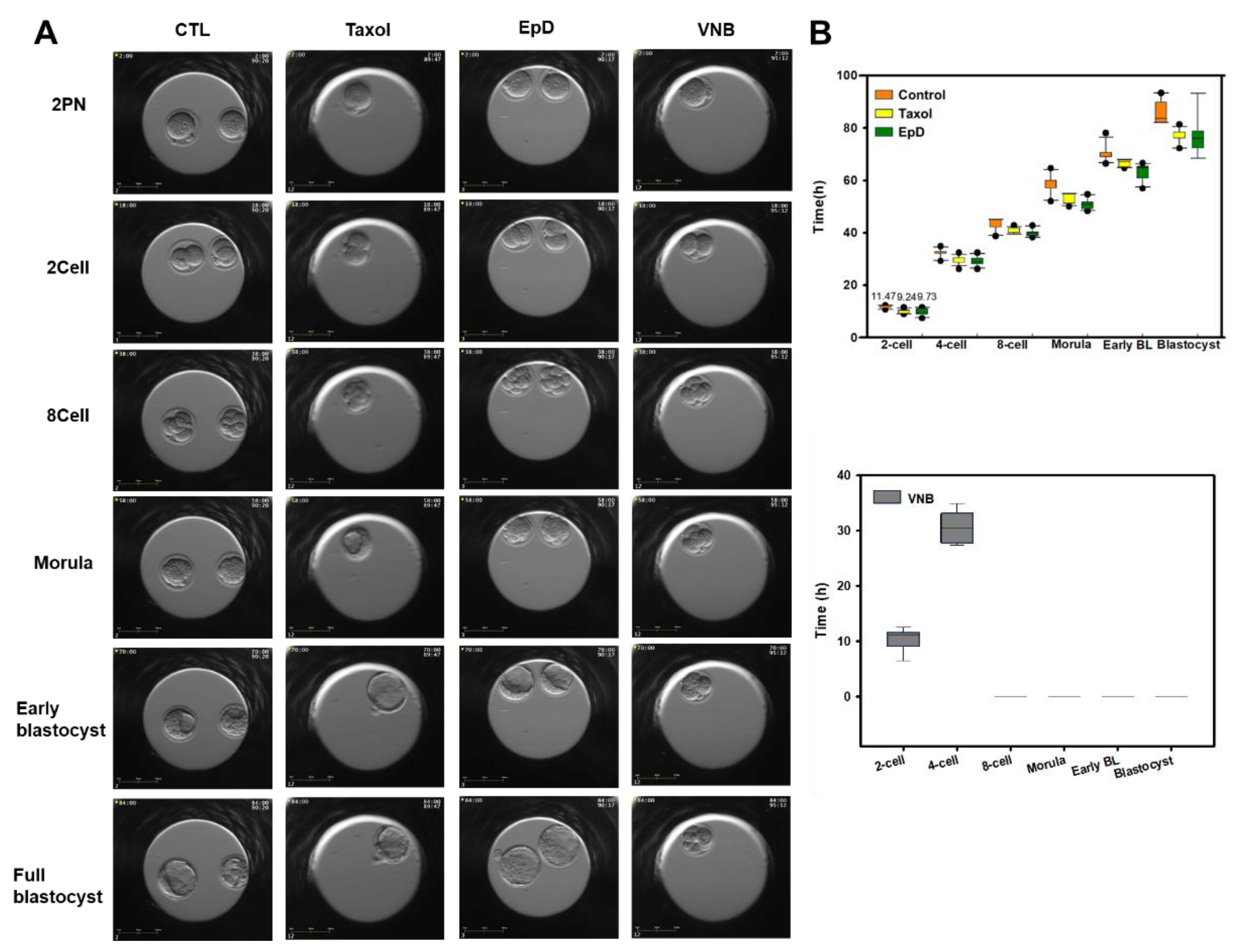 Preprints 148928 g002