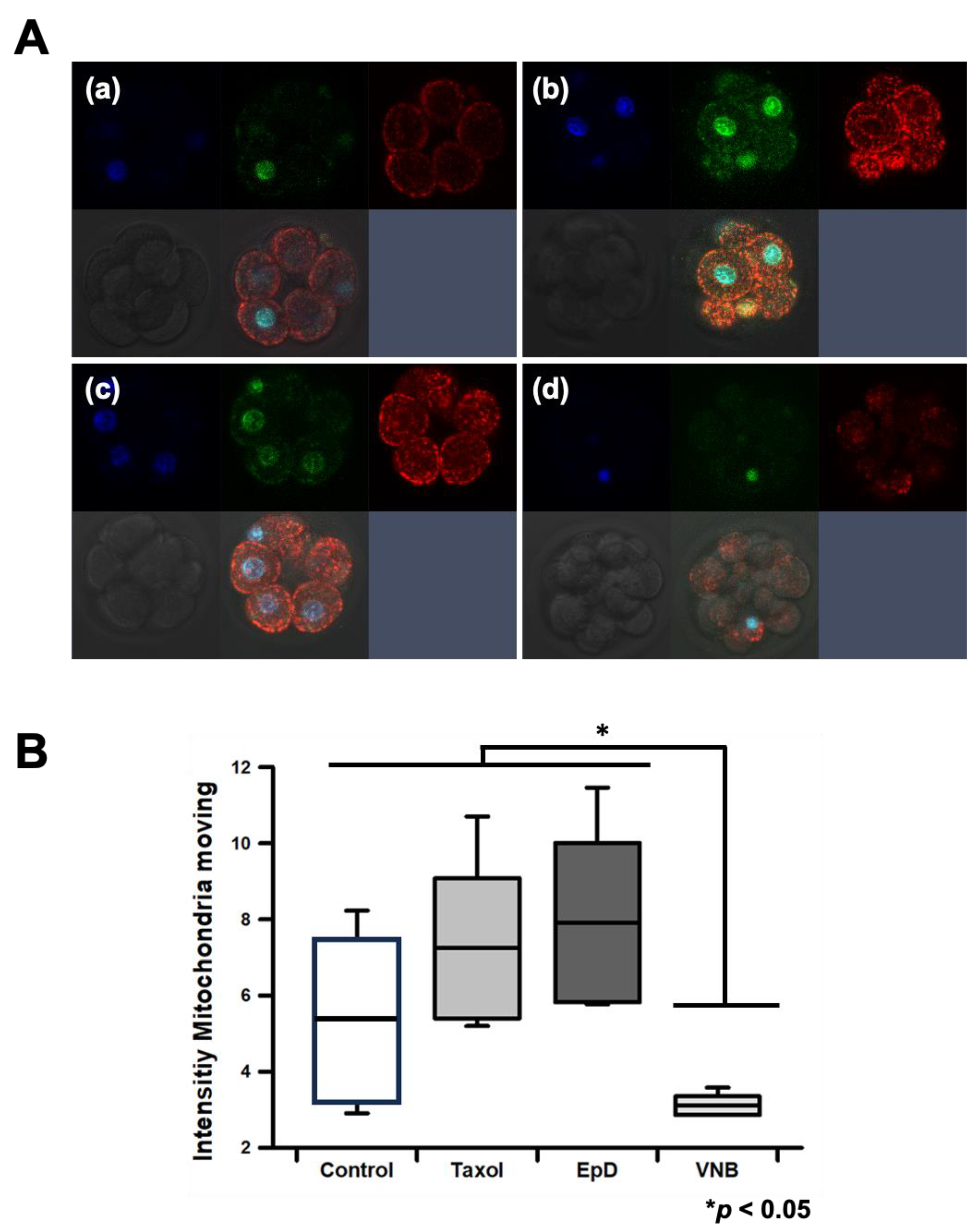 Preprints 148928 g003