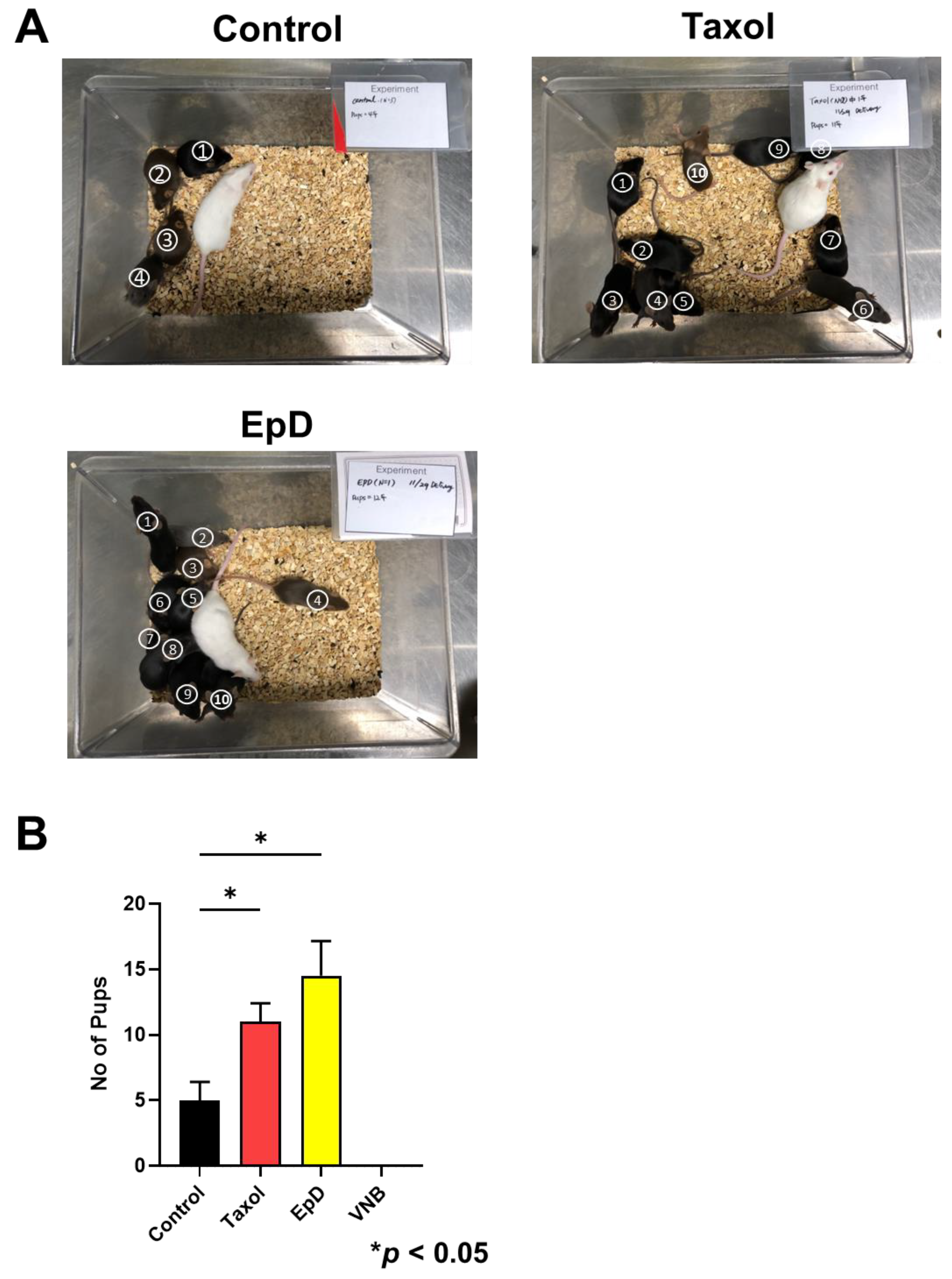 Preprints 148928 g005