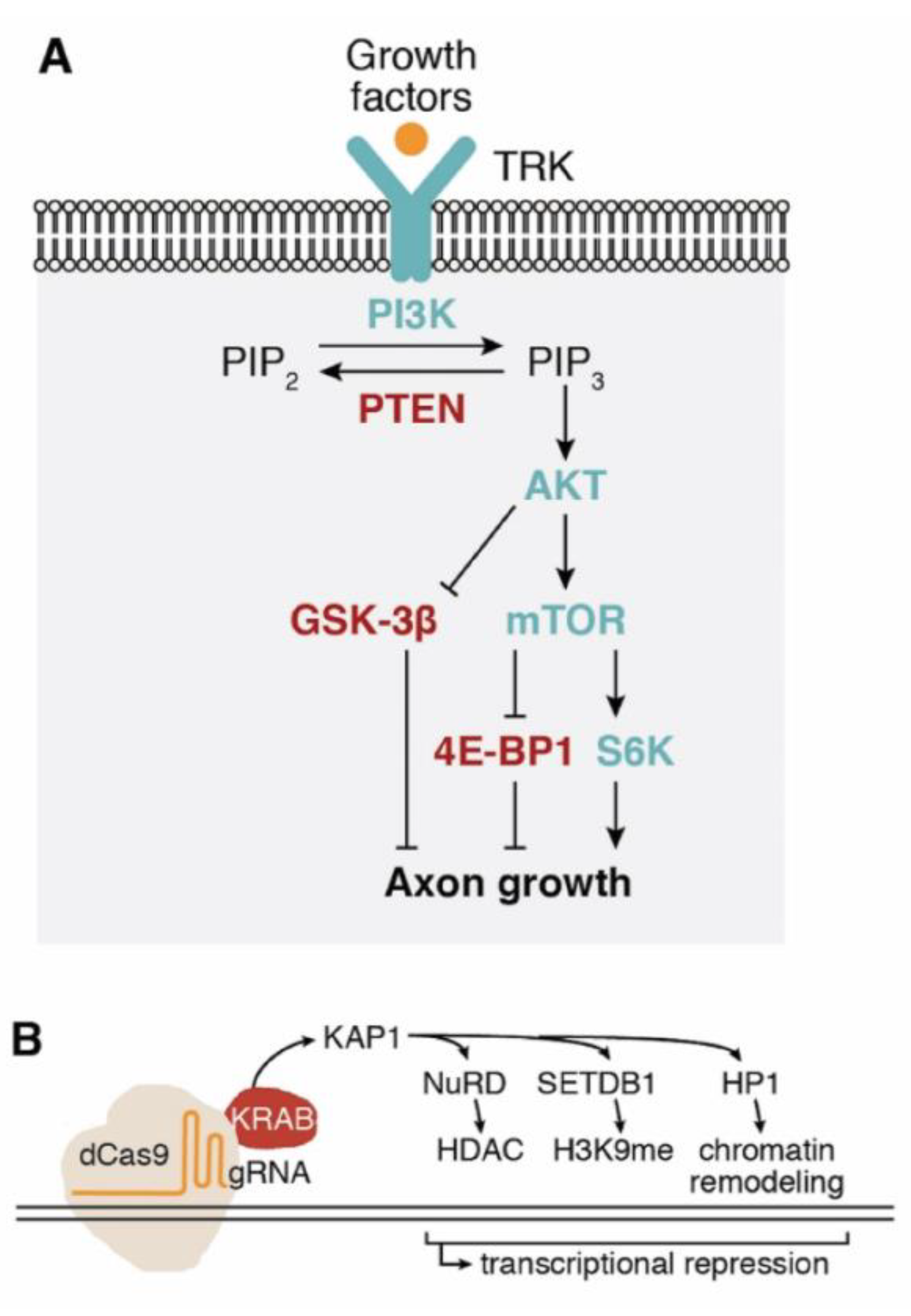 Preprints 192689 g001