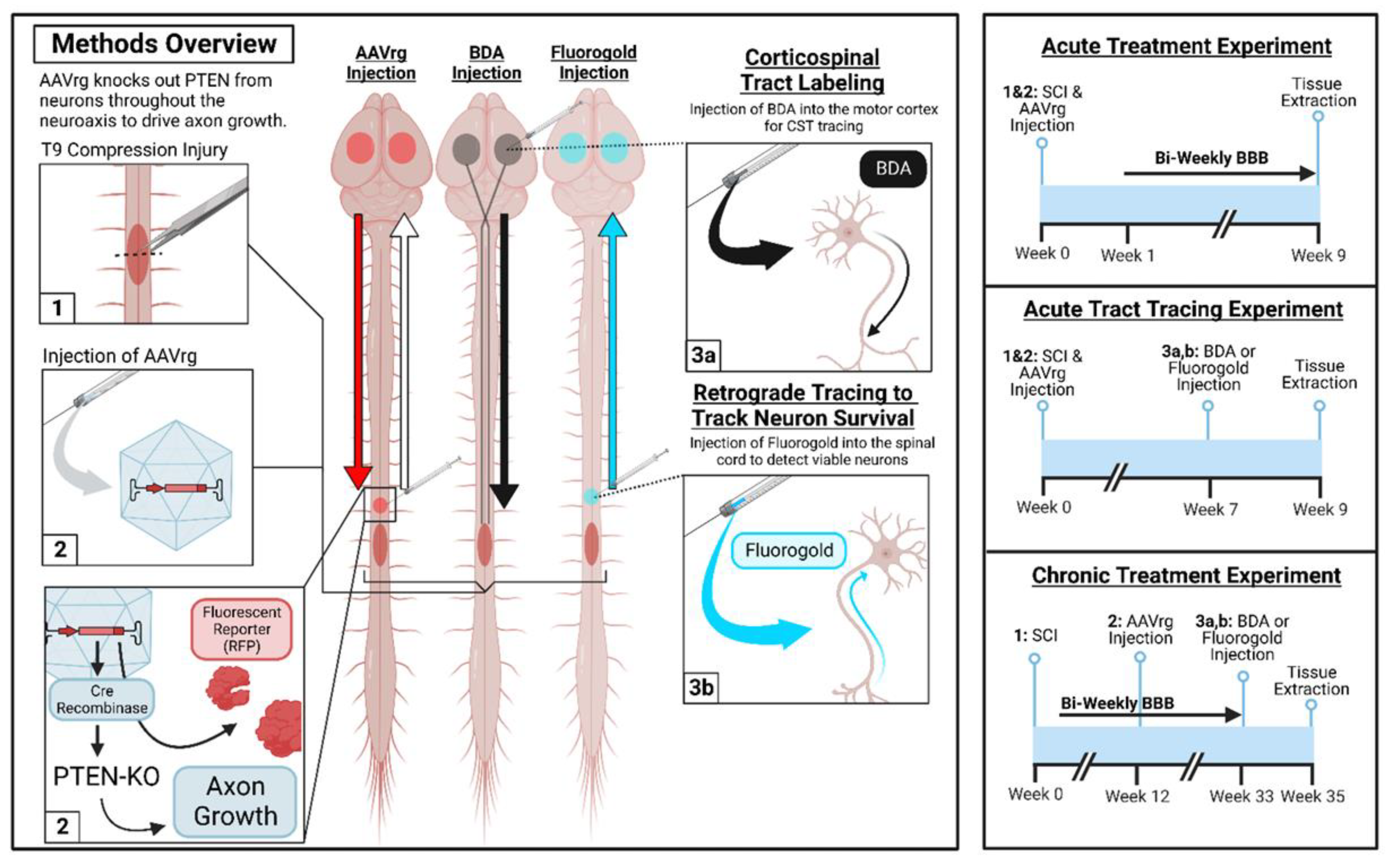 Preprints 192689 g002
