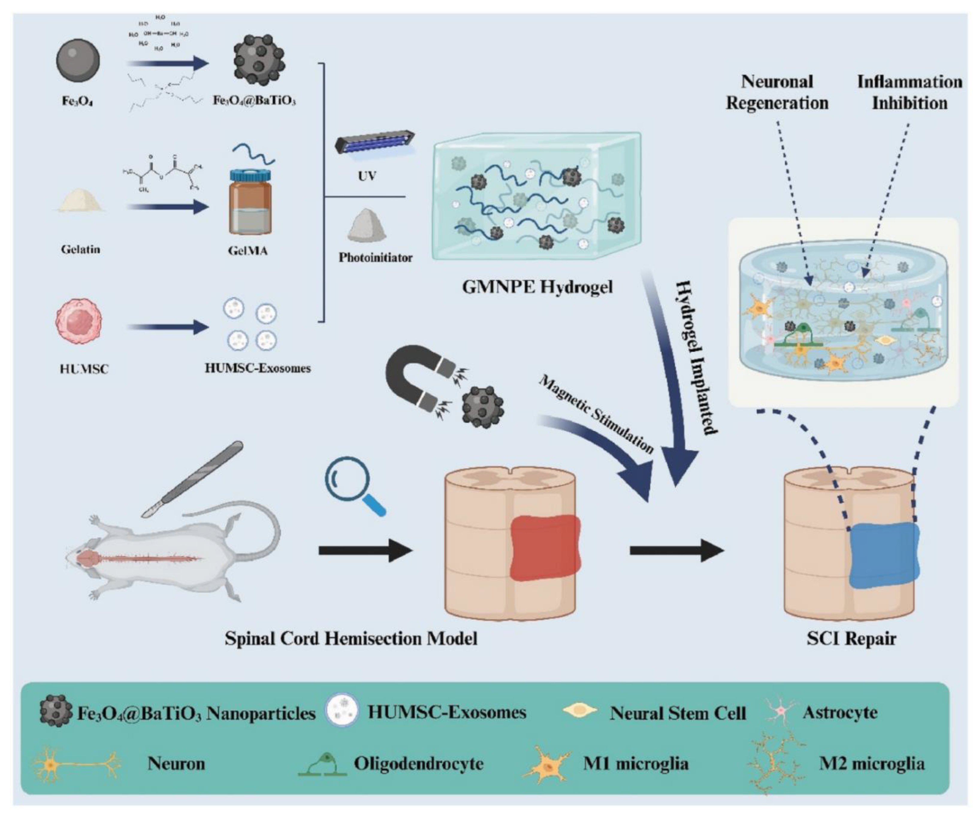 Preprints 192689 g003
