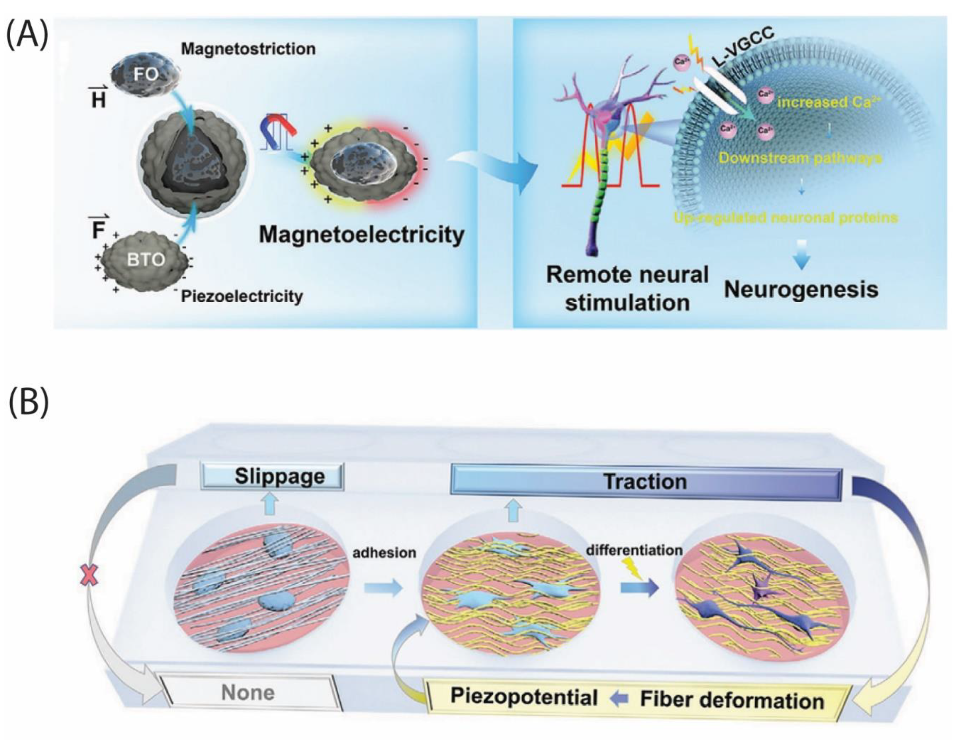 Preprints 192689 g004