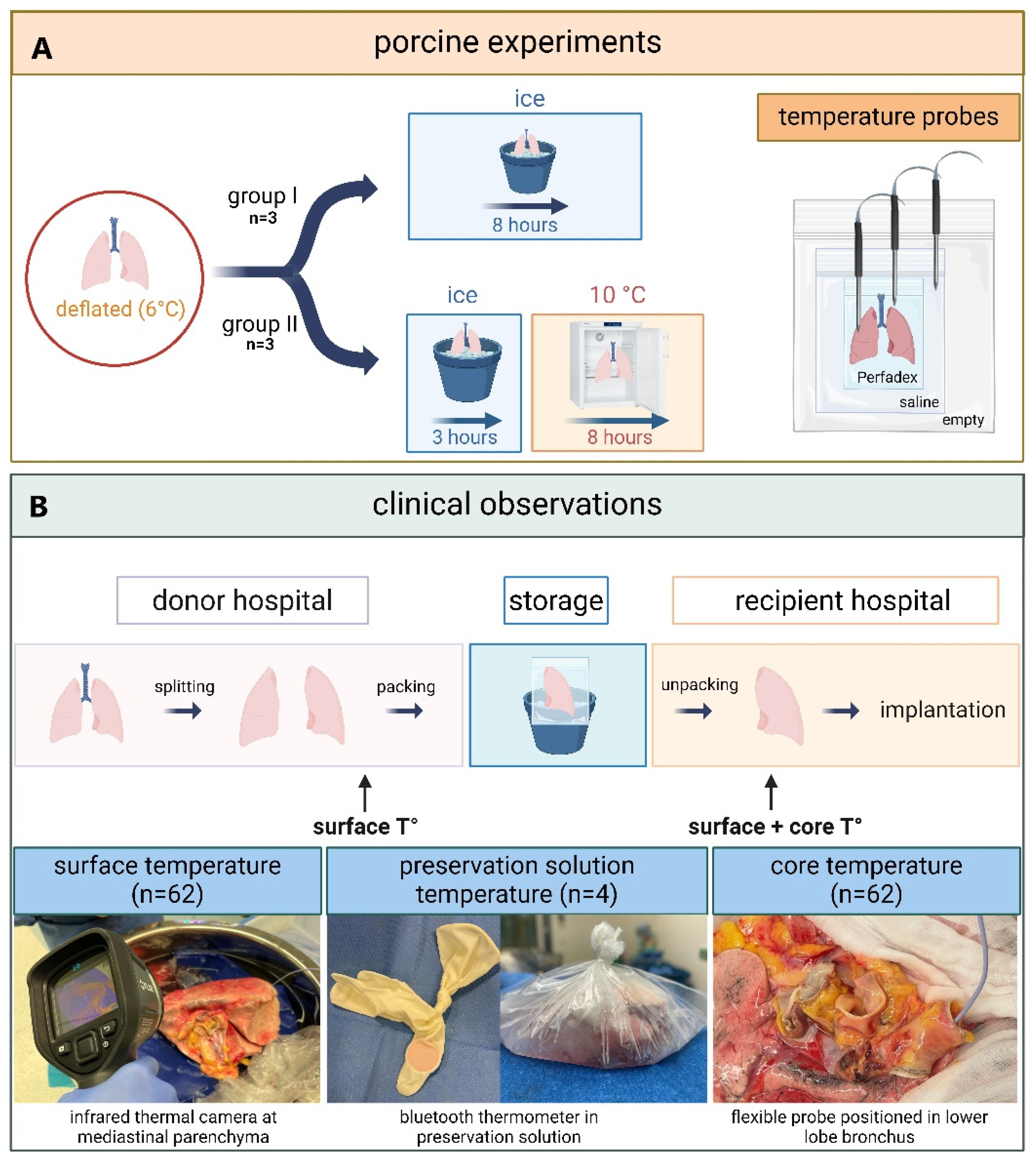 Preprints 145730 g001