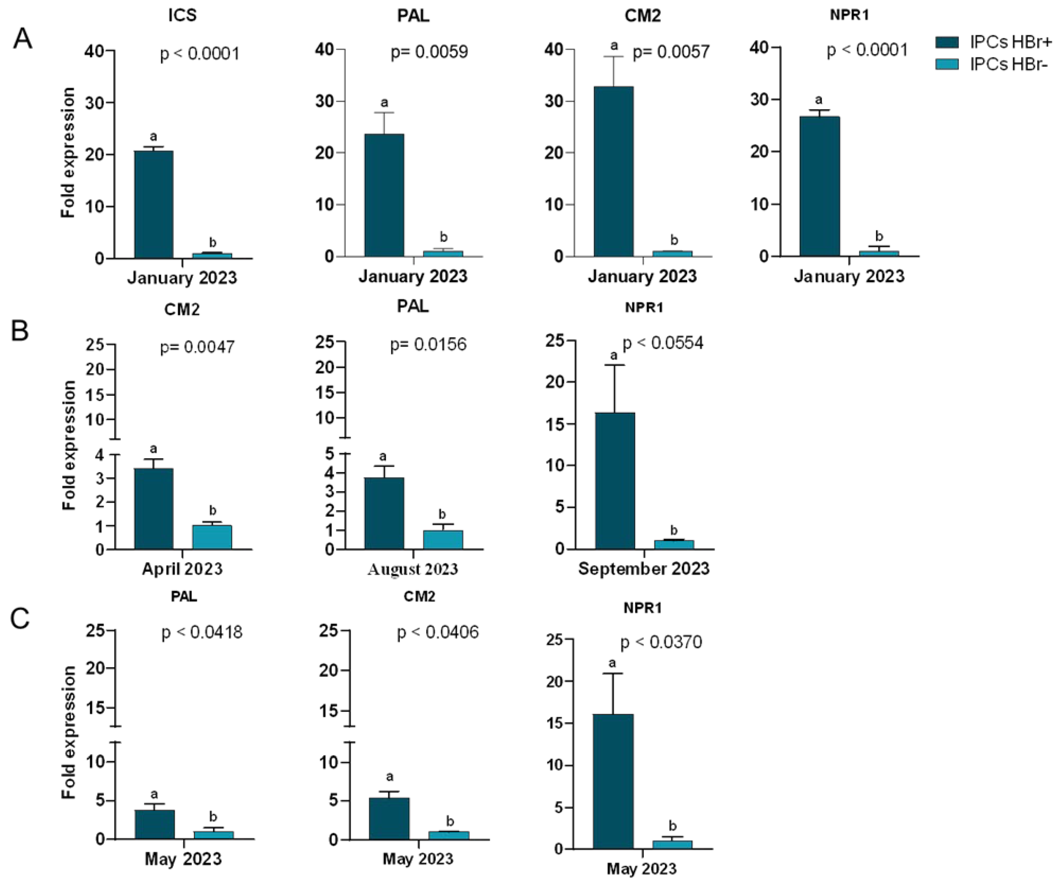 Preprints 218008 g004