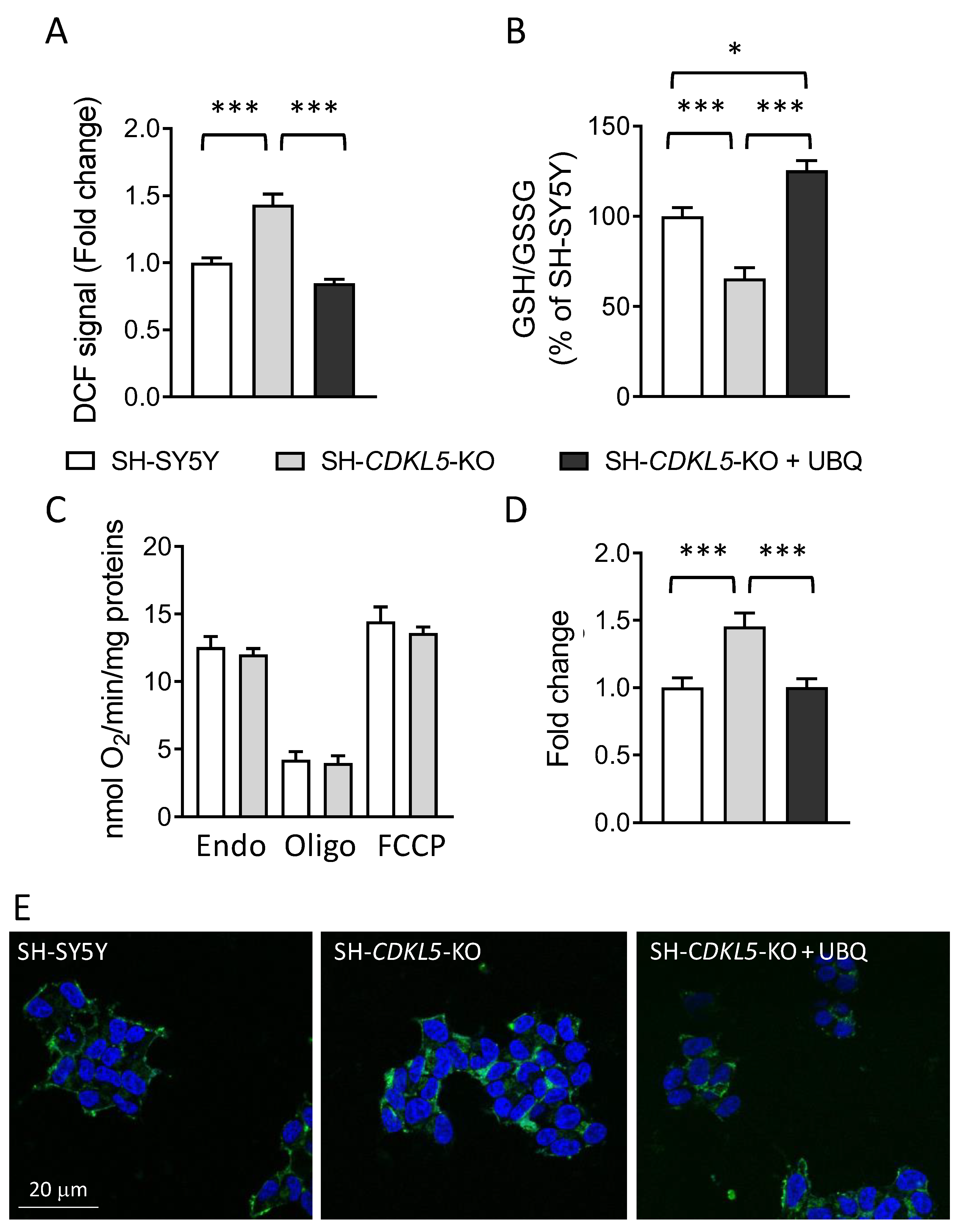 Preprints 141251 g001