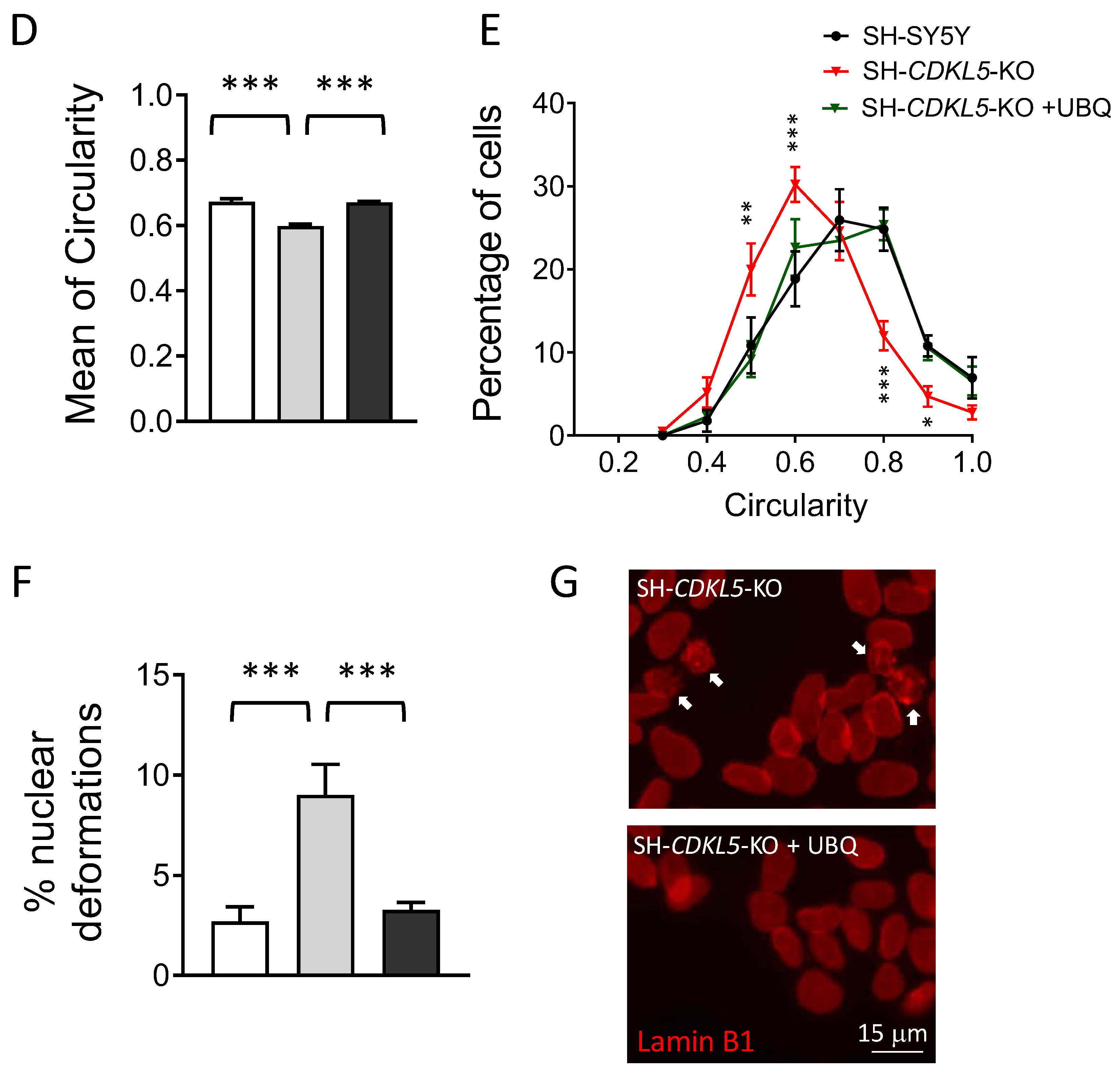 Preprints 141251 g002b