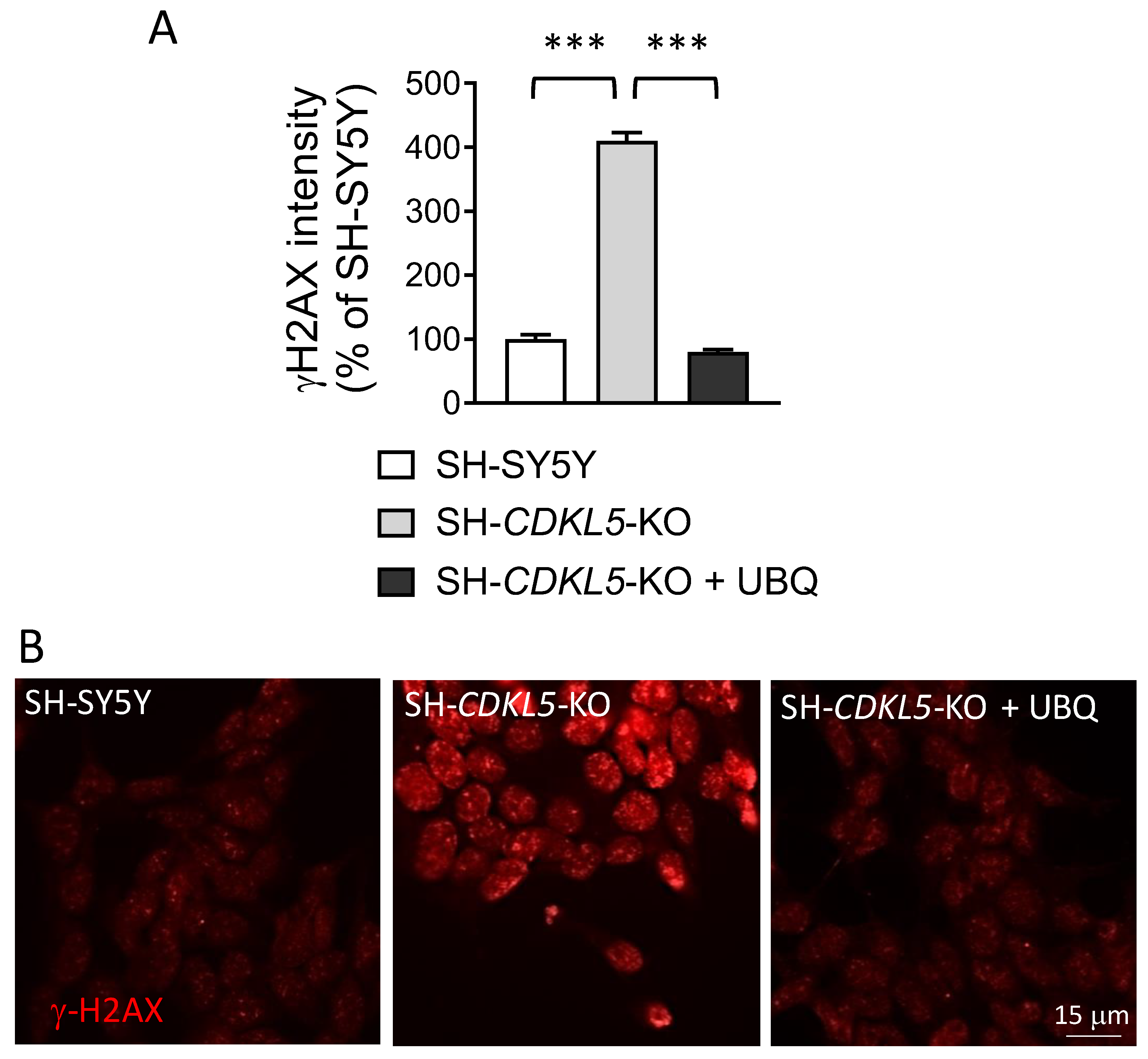 Preprints 141251 g003