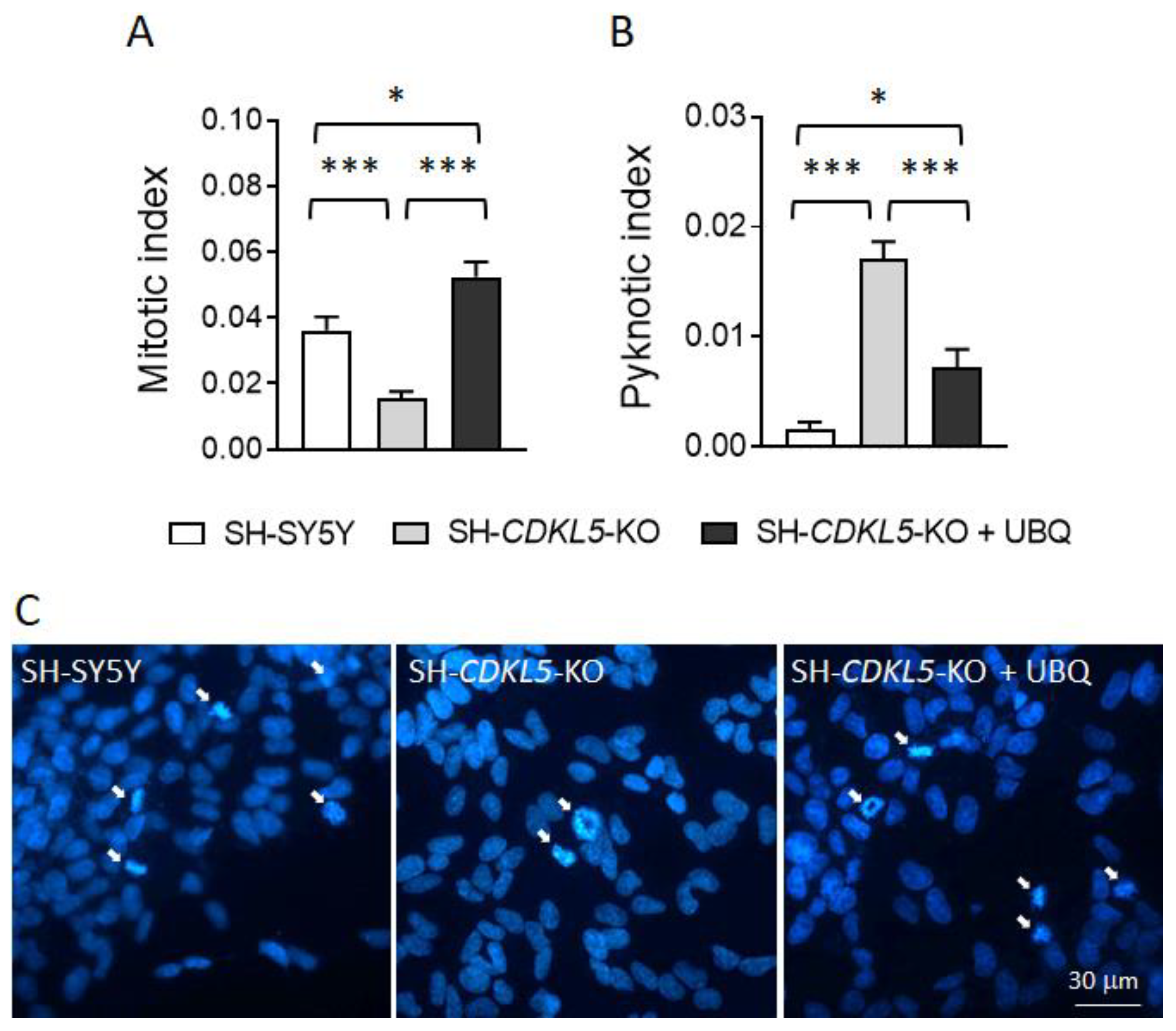 Preprints 141251 g004