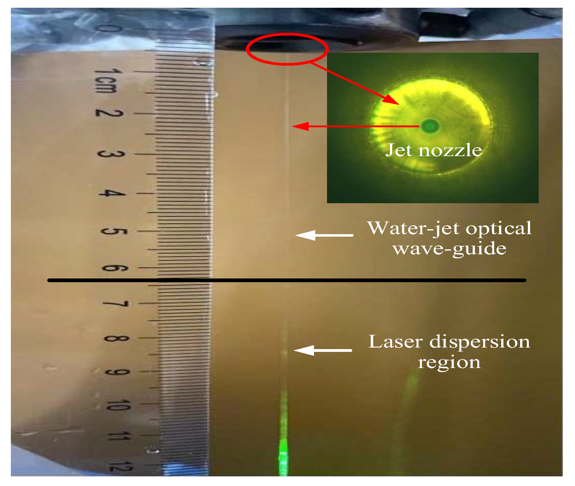 Preprints 90111 g011