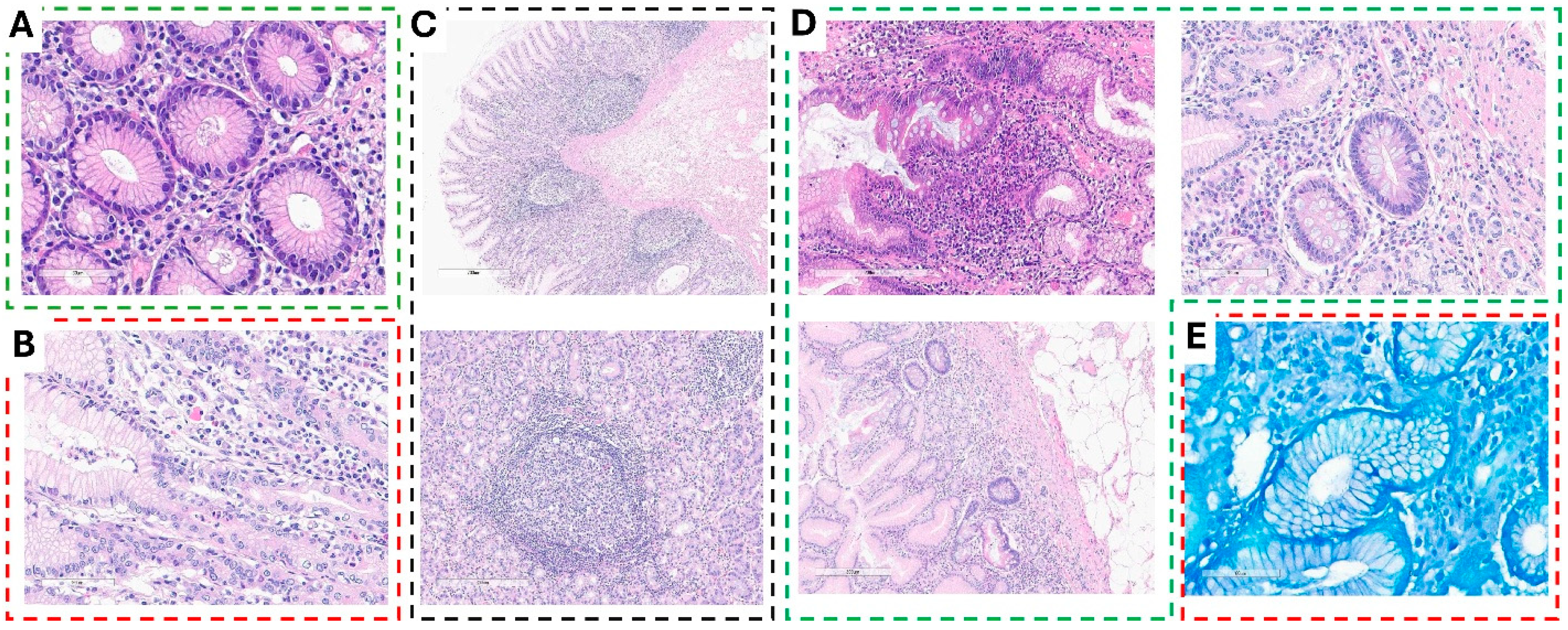 Preprints 152721 g002