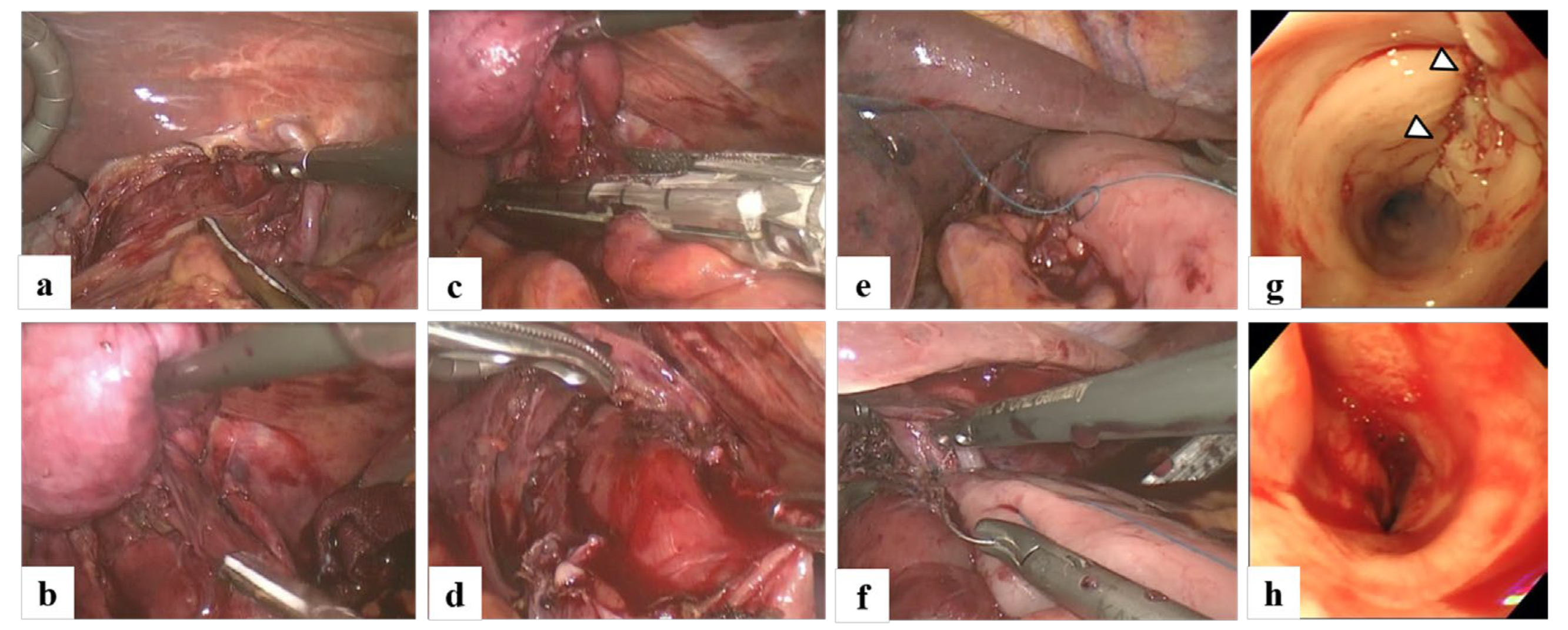 Preprints 105812 g003