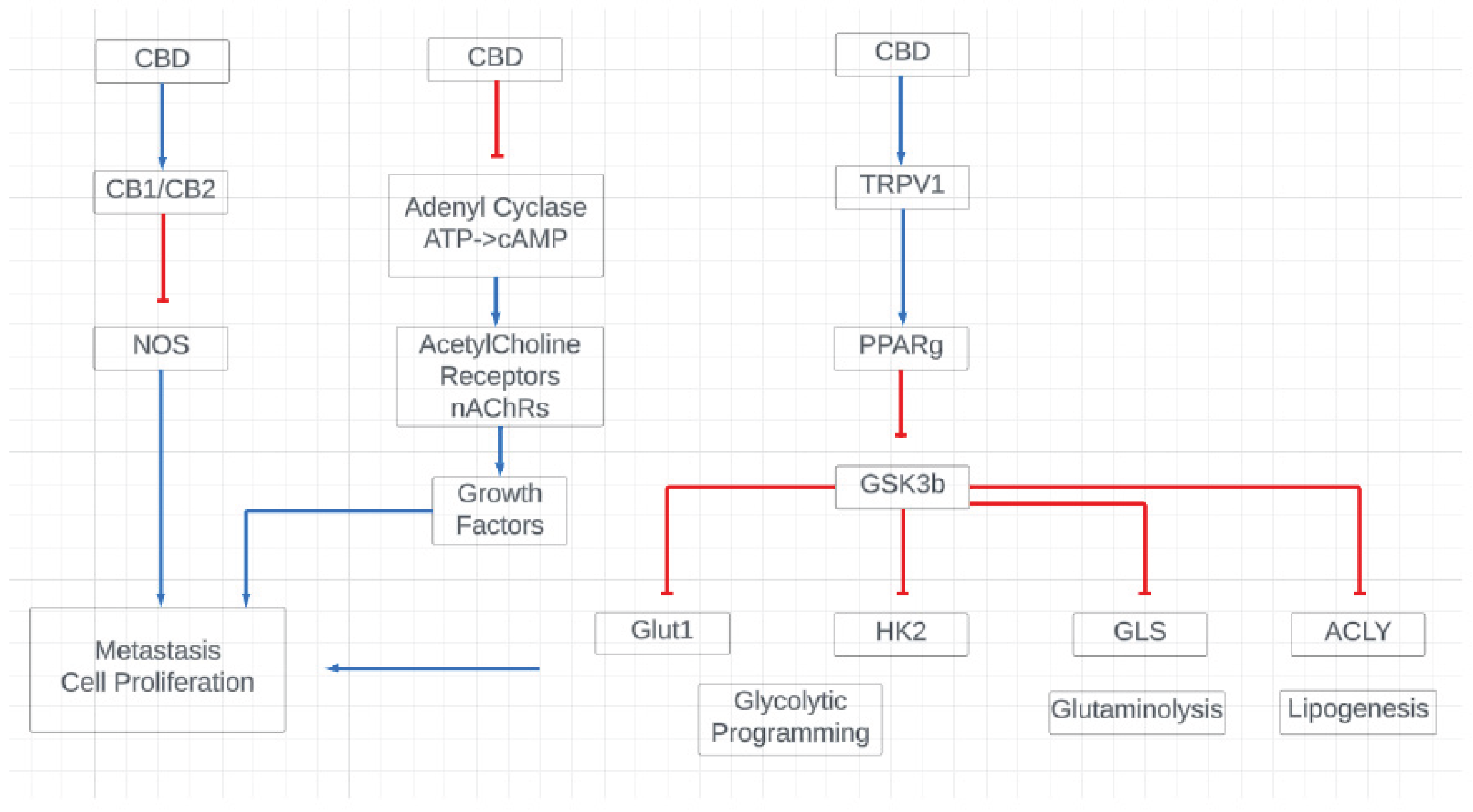 Preprints 165097 g006