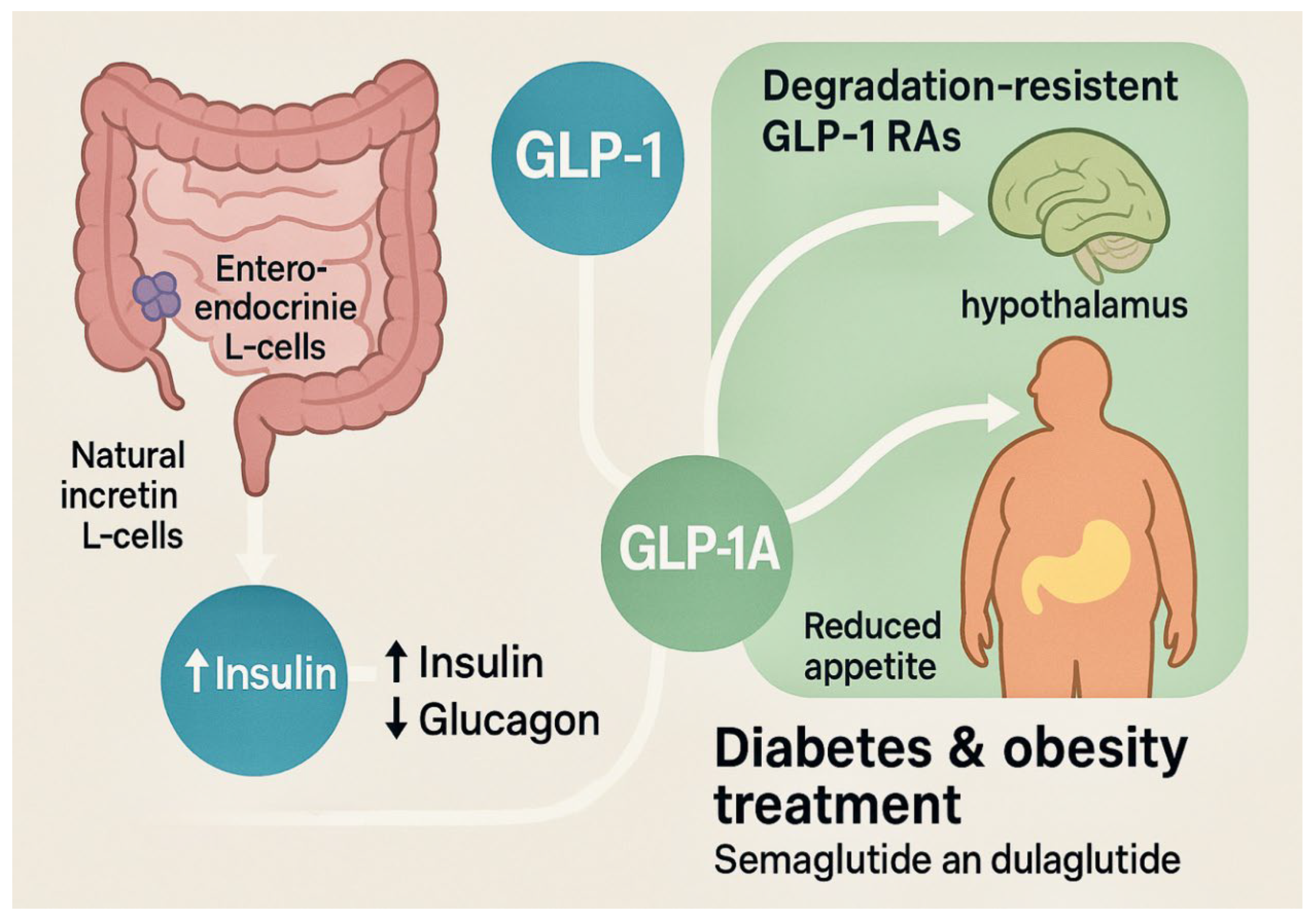 Preprints 181961 g001