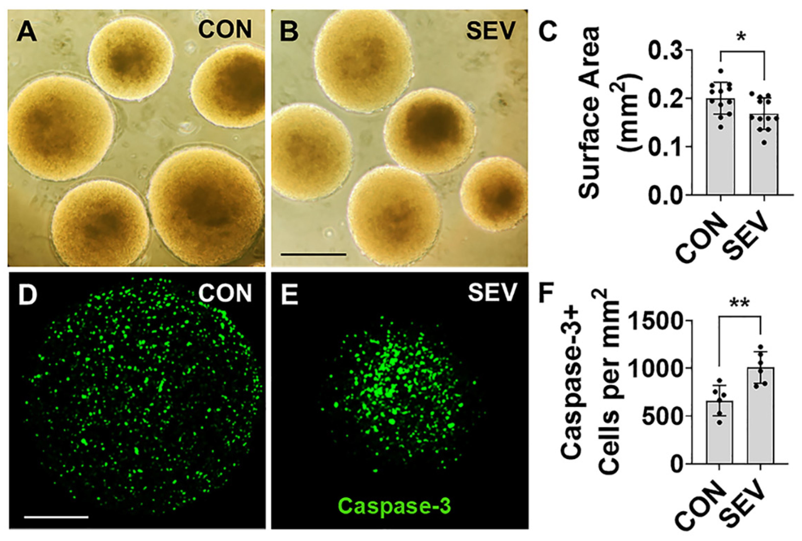 Preprints 205133 g002