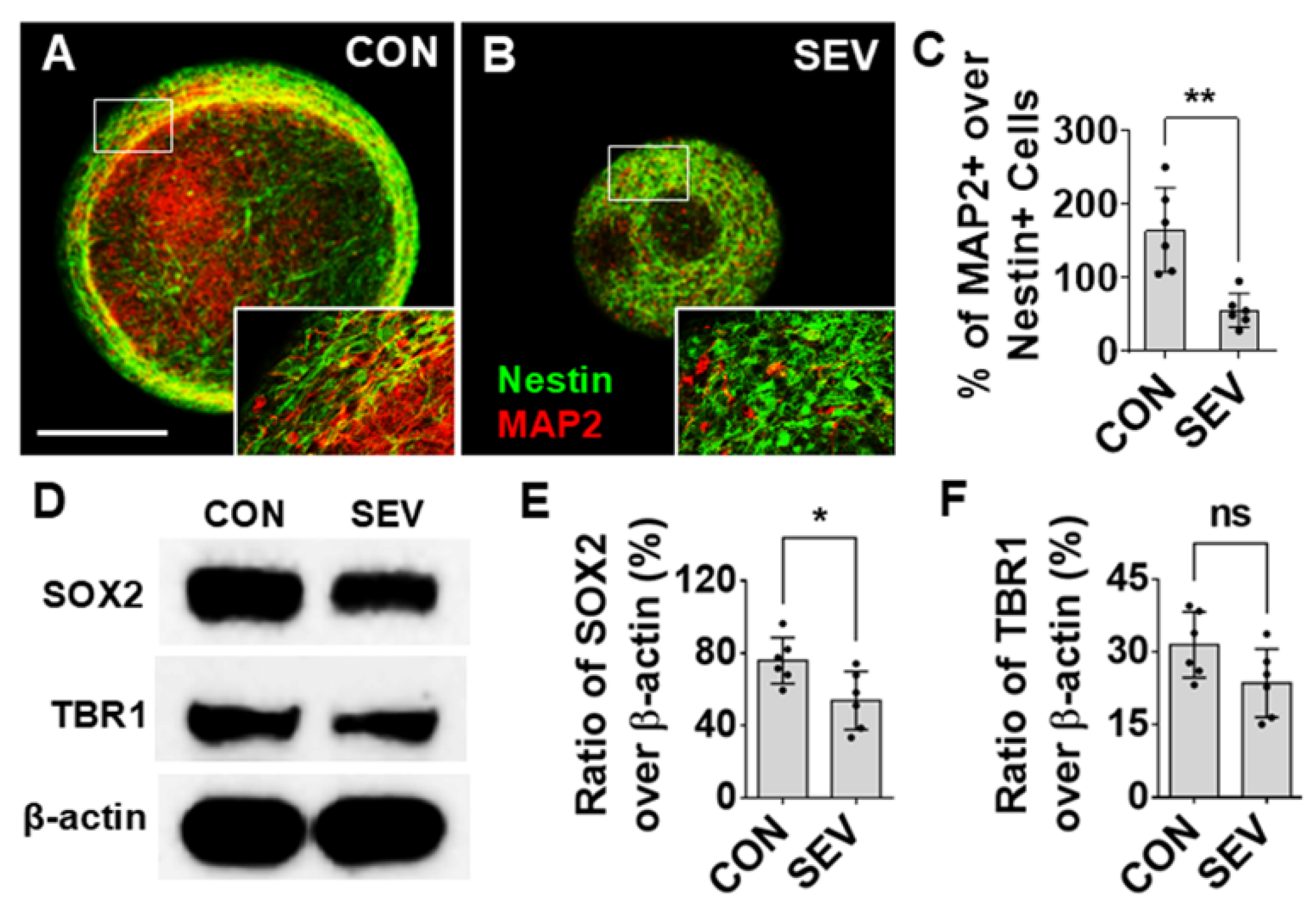 Preprints 205133 g003