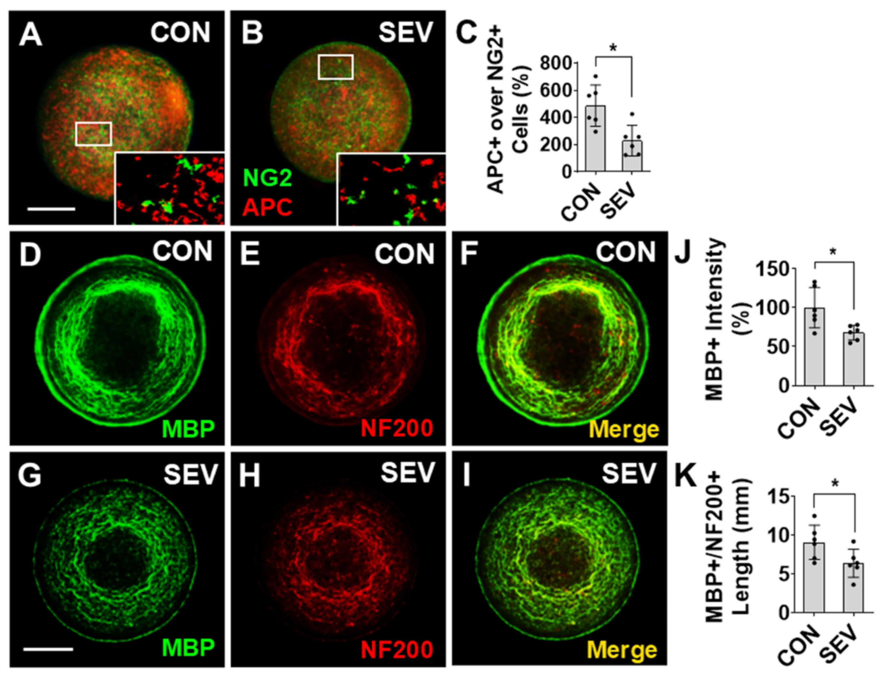 Preprints 205133 g004
