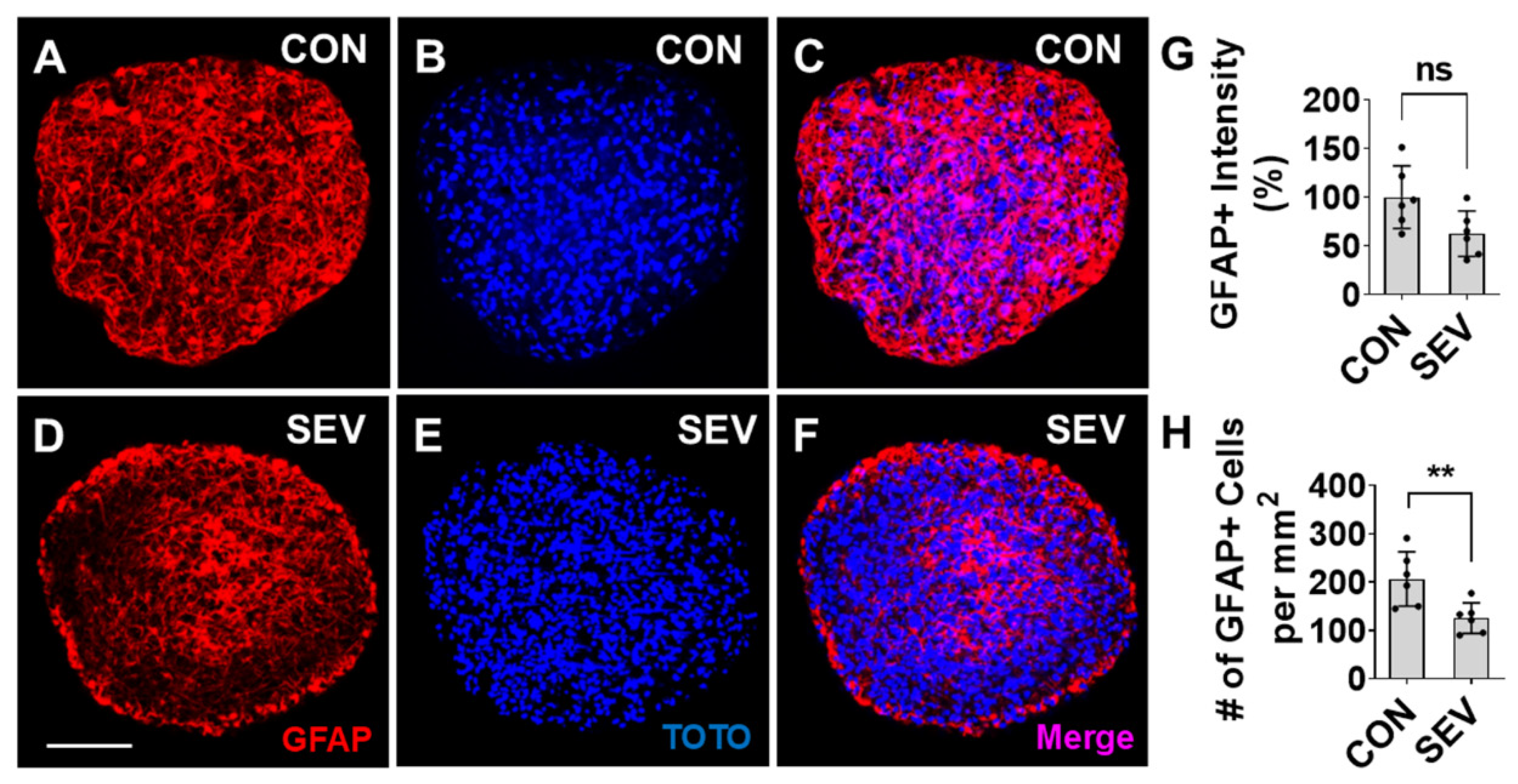 Preprints 205133 g005