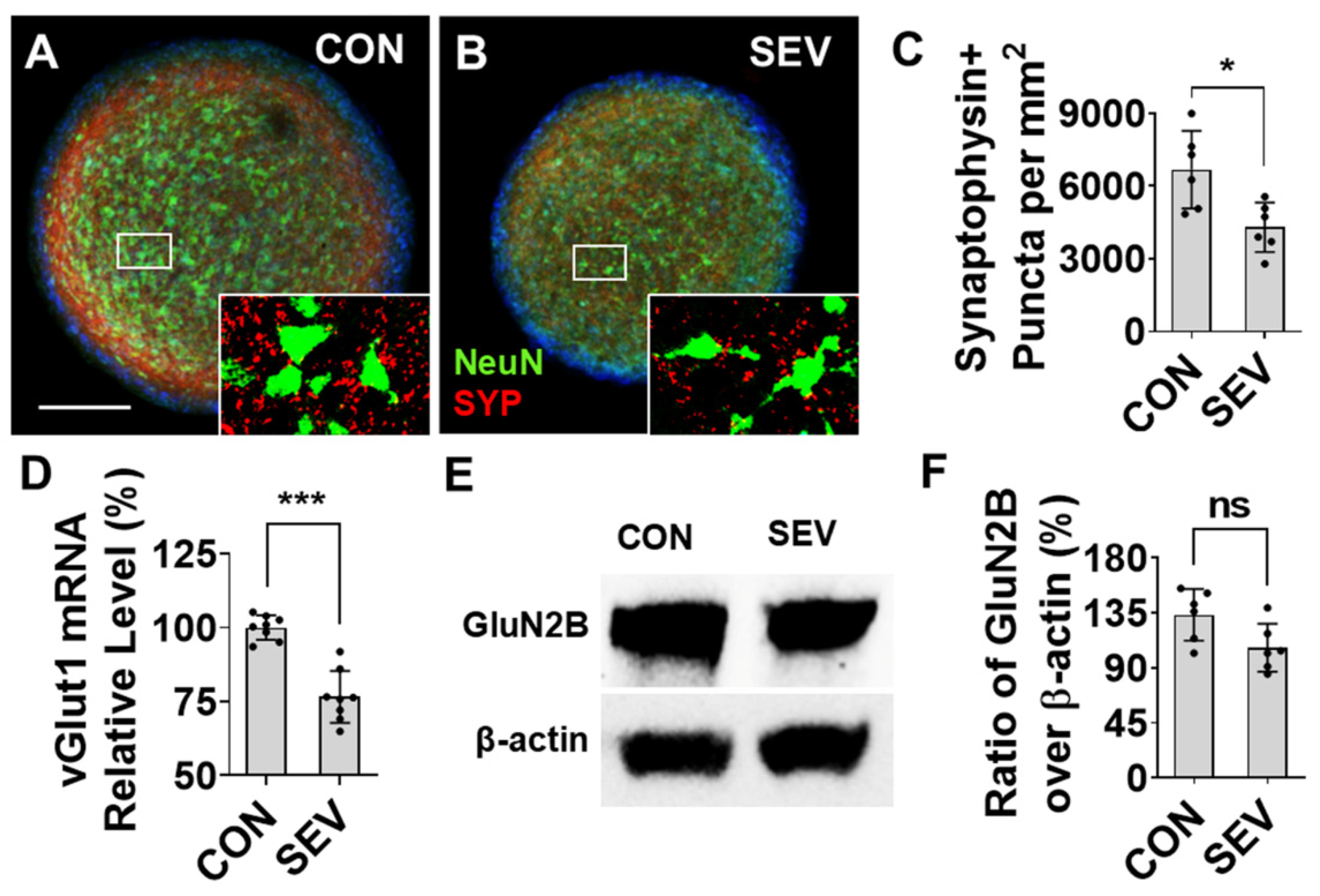 Preprints 205133 g006