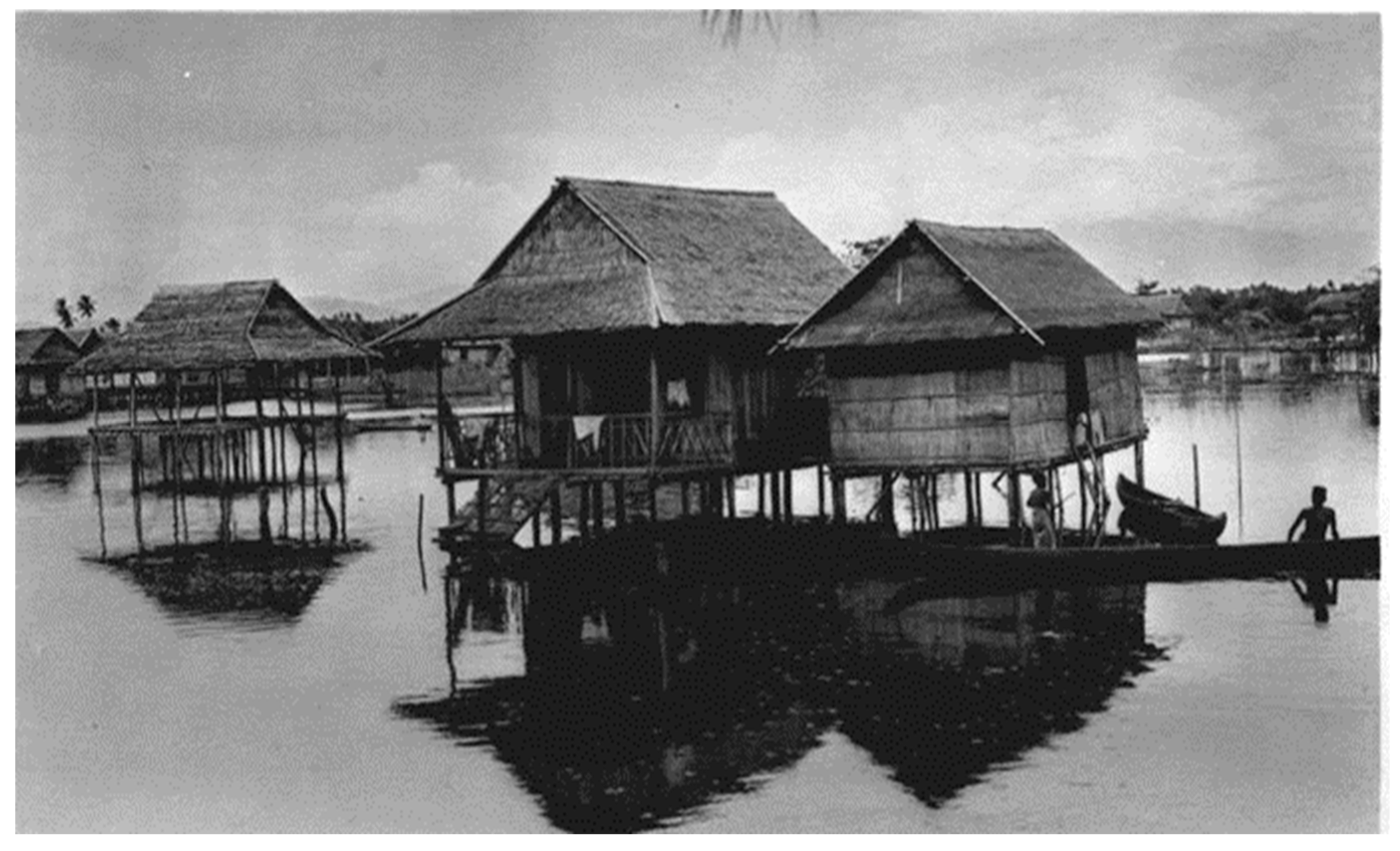 Preprints 92486 g002