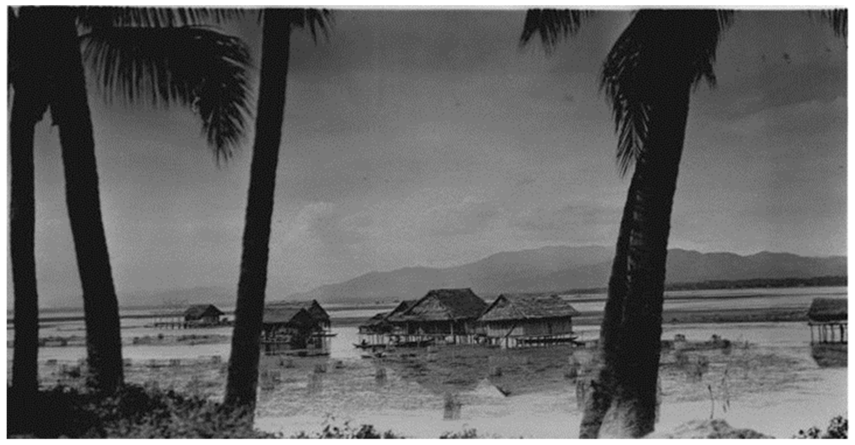 Preprints 92486 g004