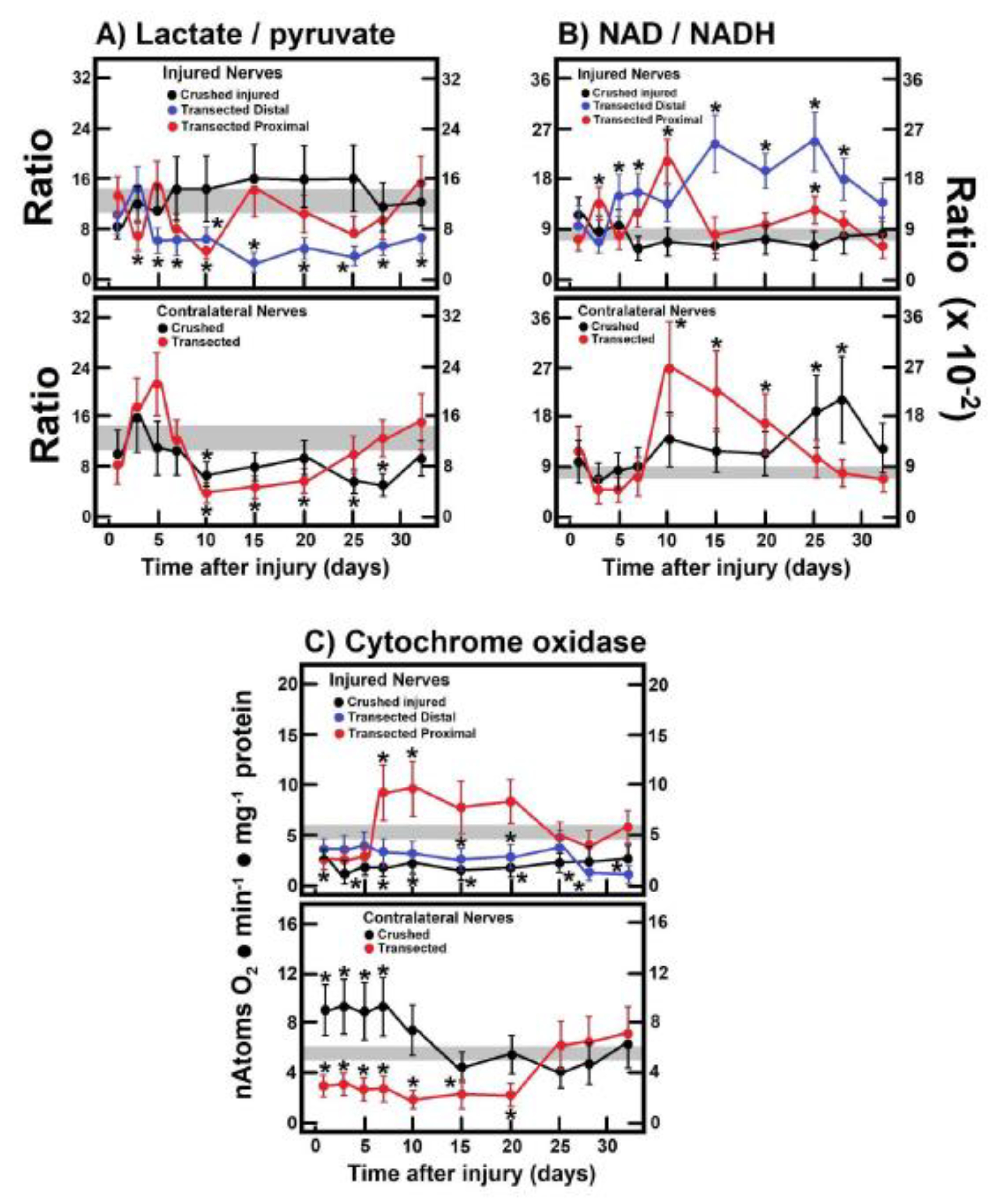 Preprints 172120 g004