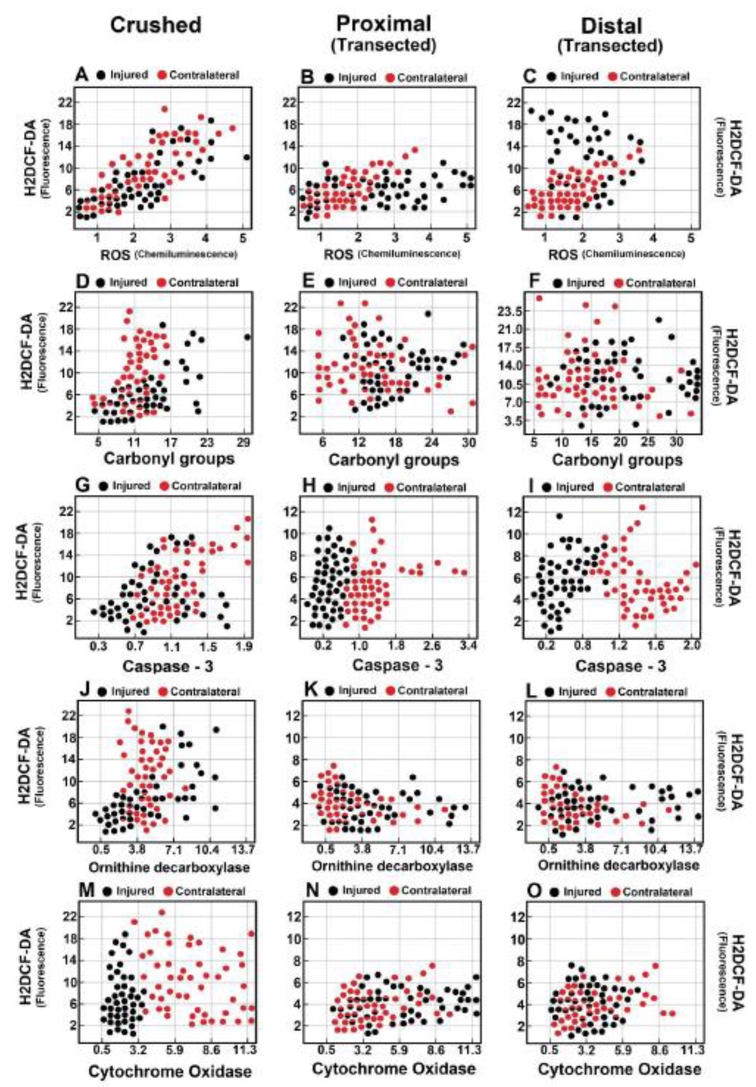 Preprints 172120 g006