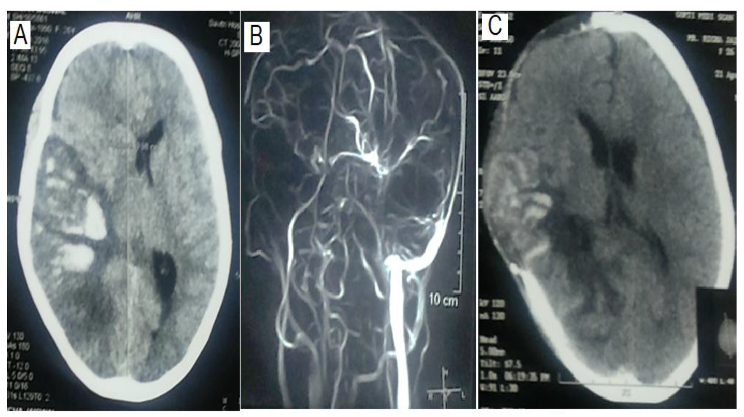 Preprints 148627 g001