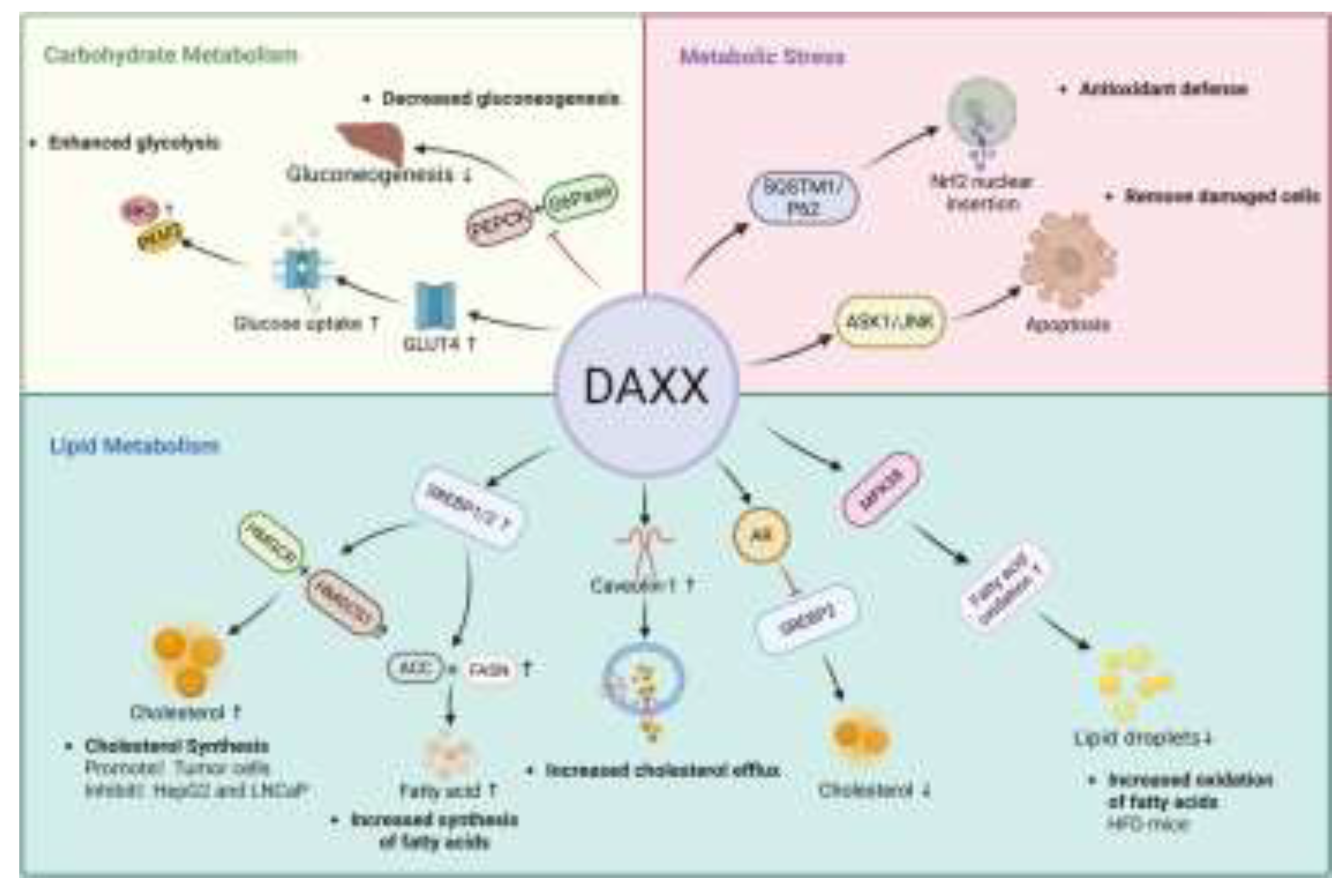 Preprints 196497 g001
