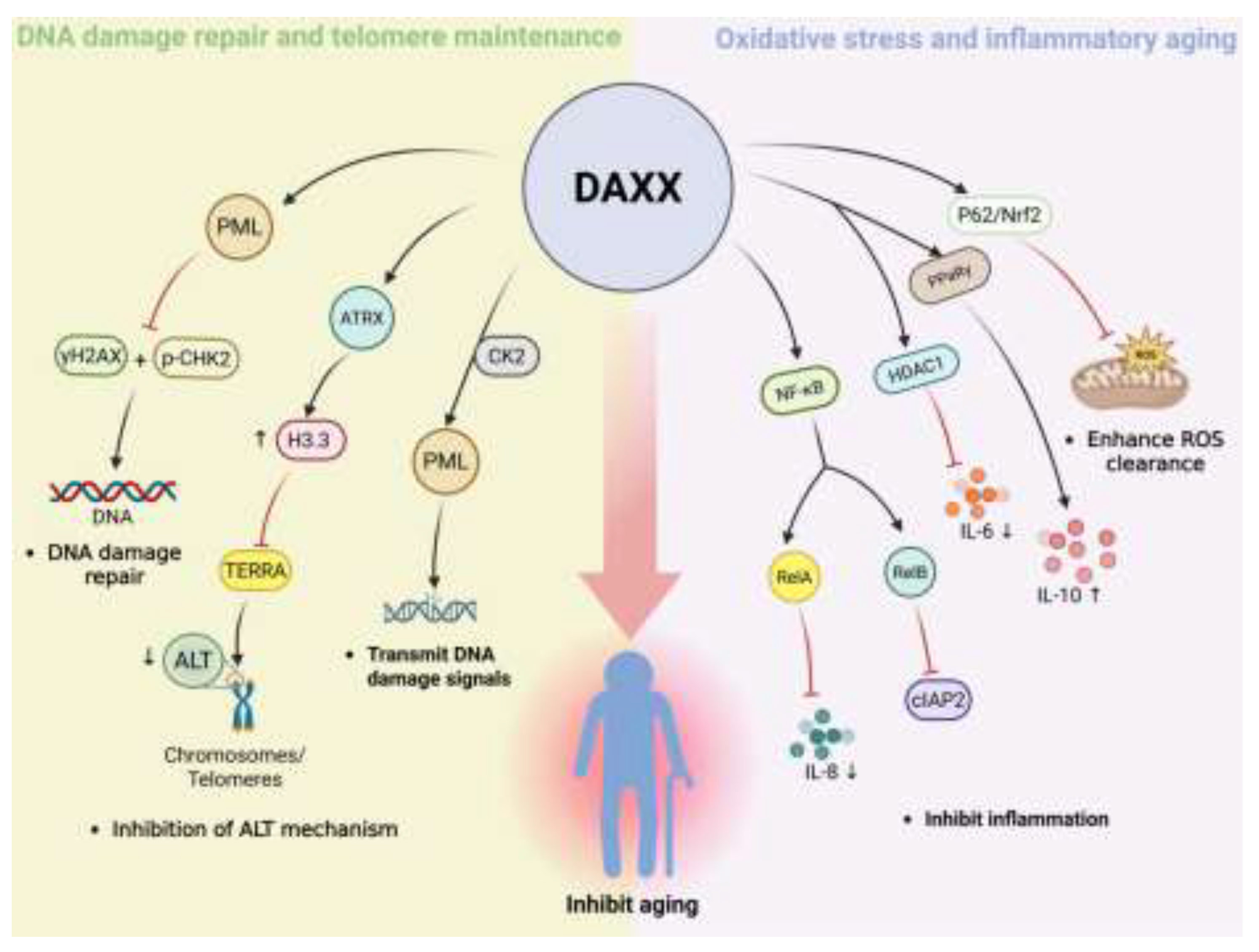 Preprints 196497 g002