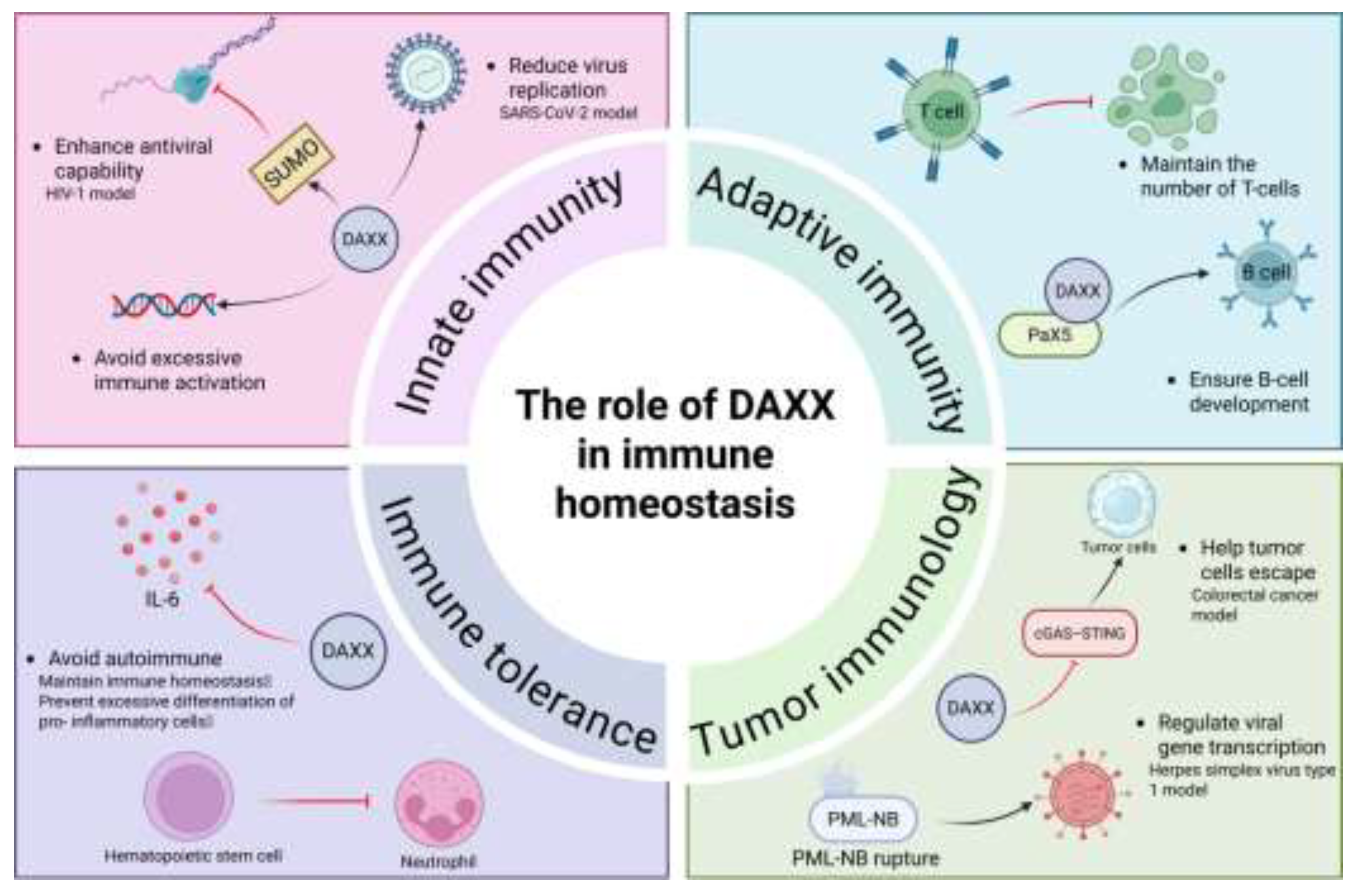 Preprints 196497 g003