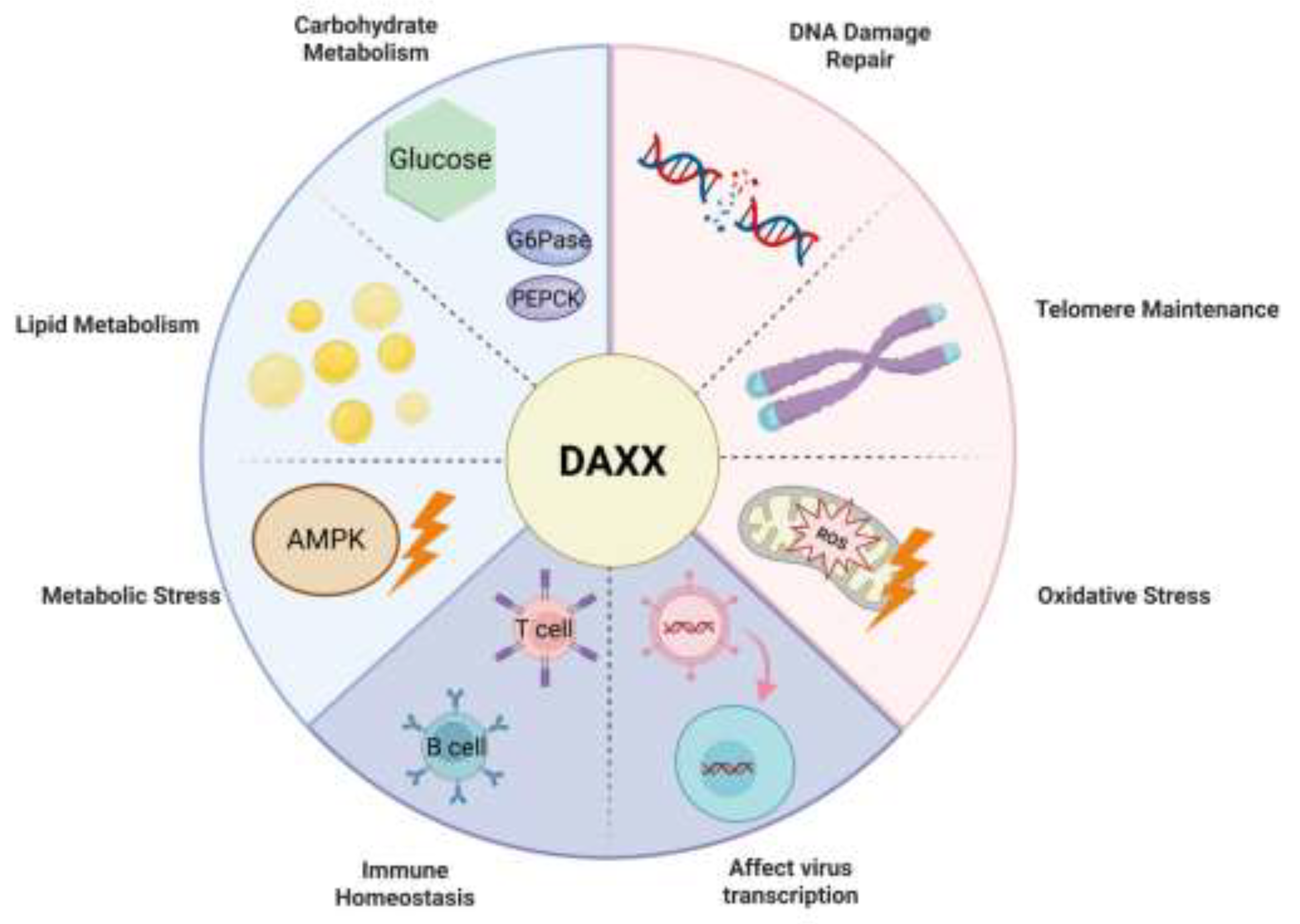 Preprints 196497 g004